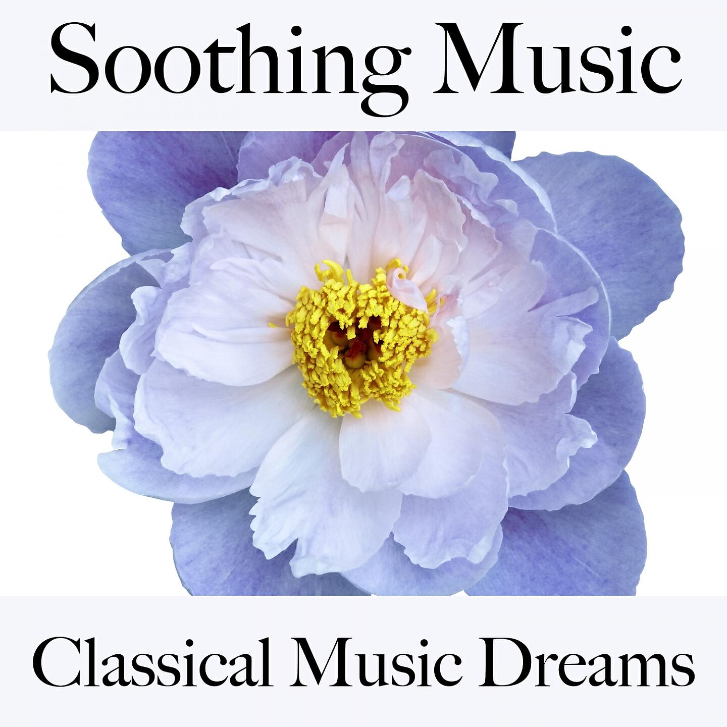 Philharmonia Orchestra - Symphony No. 38 in D Major, K. 503 'Prague': I. Adagio - Allegro