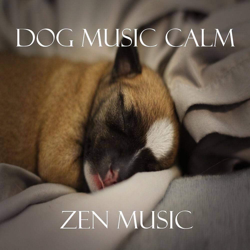 Dog Music Calm - Space Audio