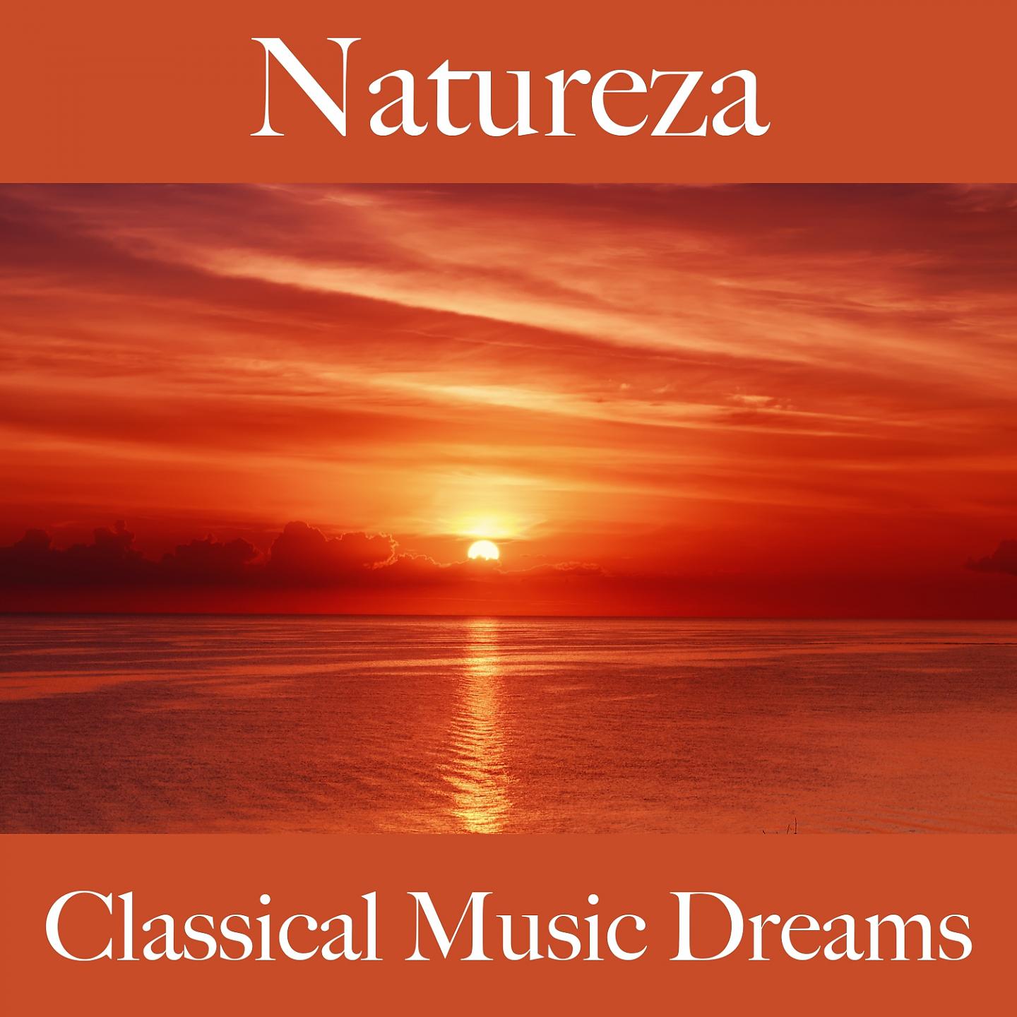 Постер альбома Natureza: Classical Music Dreams - A Melhor Música Para Relaxar