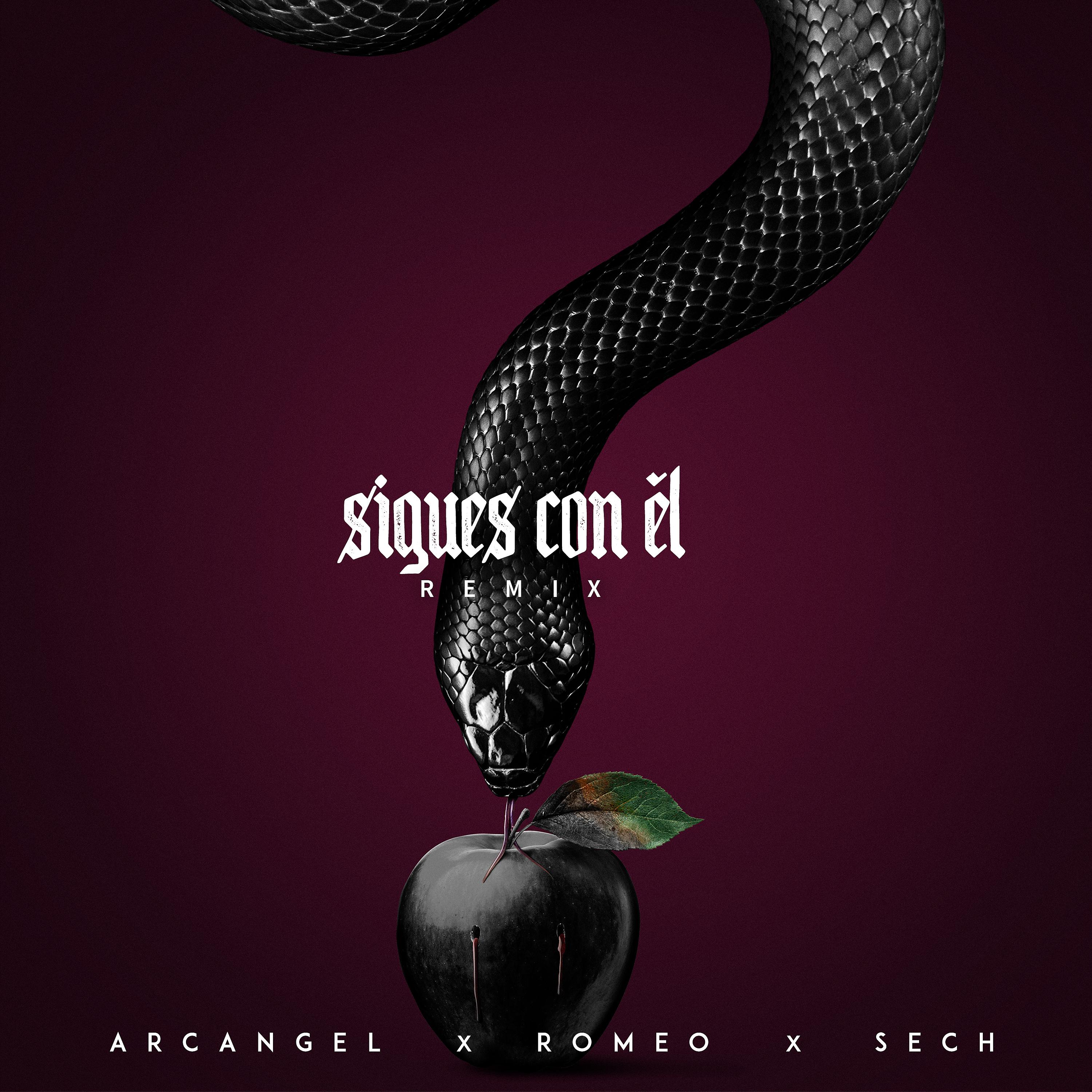 Постер альбома Sigues Con El (Remix)