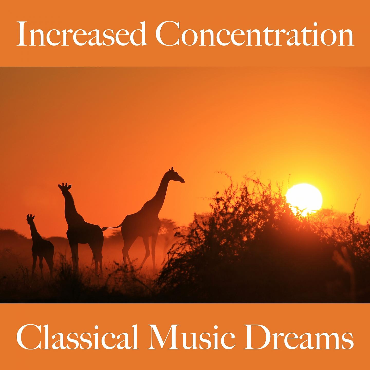 Постер альбома Increased Concentration: Classical Music Dreams - The Best Music For Relaxation