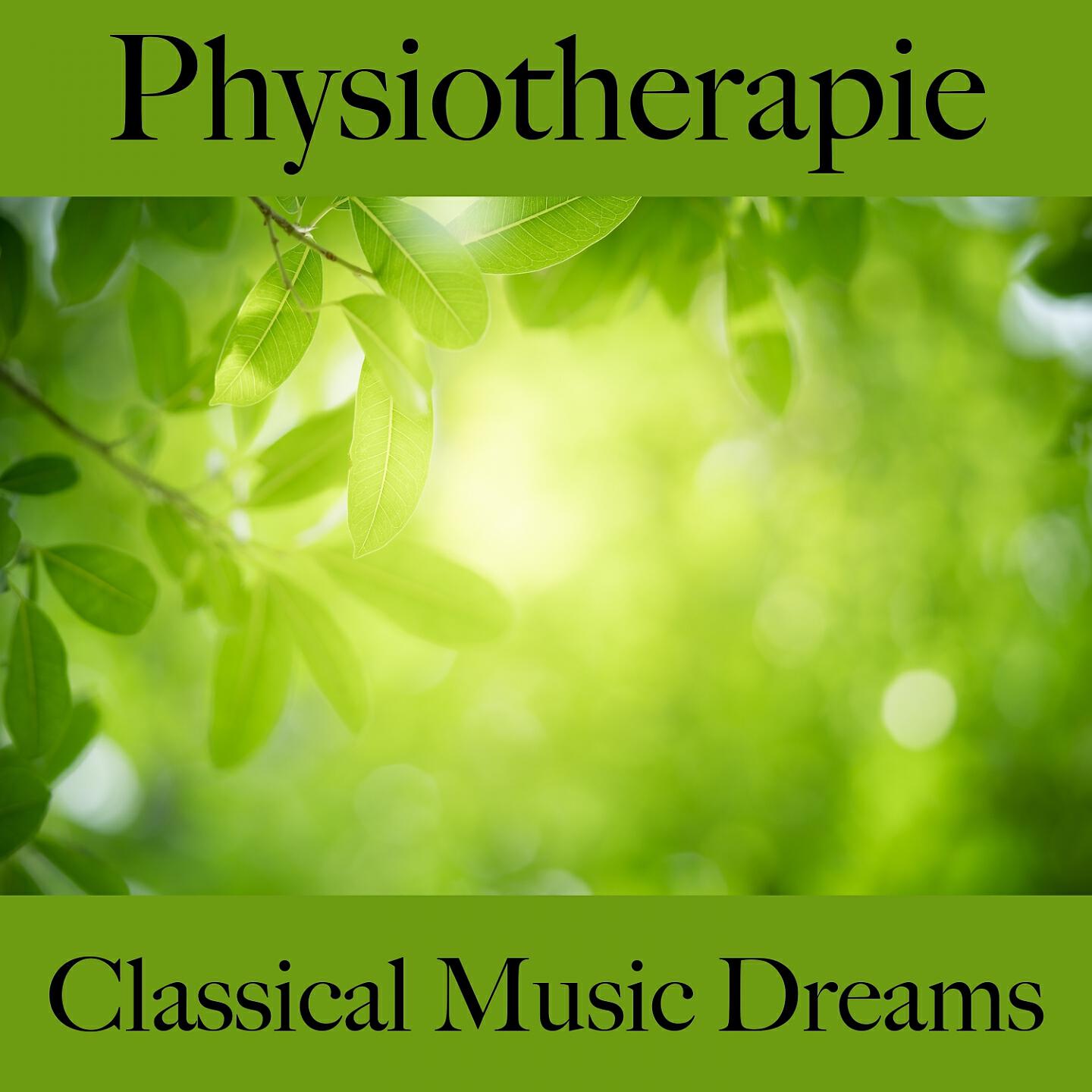 I Musici - The Four Seasons, Violin Concerto No. 4 in F Minor, RV 197 'L'inverno': II. Largo