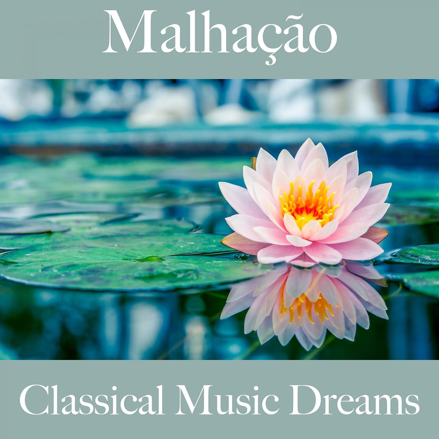 Постер альбома Malhação: Classical Music Dreams - Os Melhores Sons Para Malhar