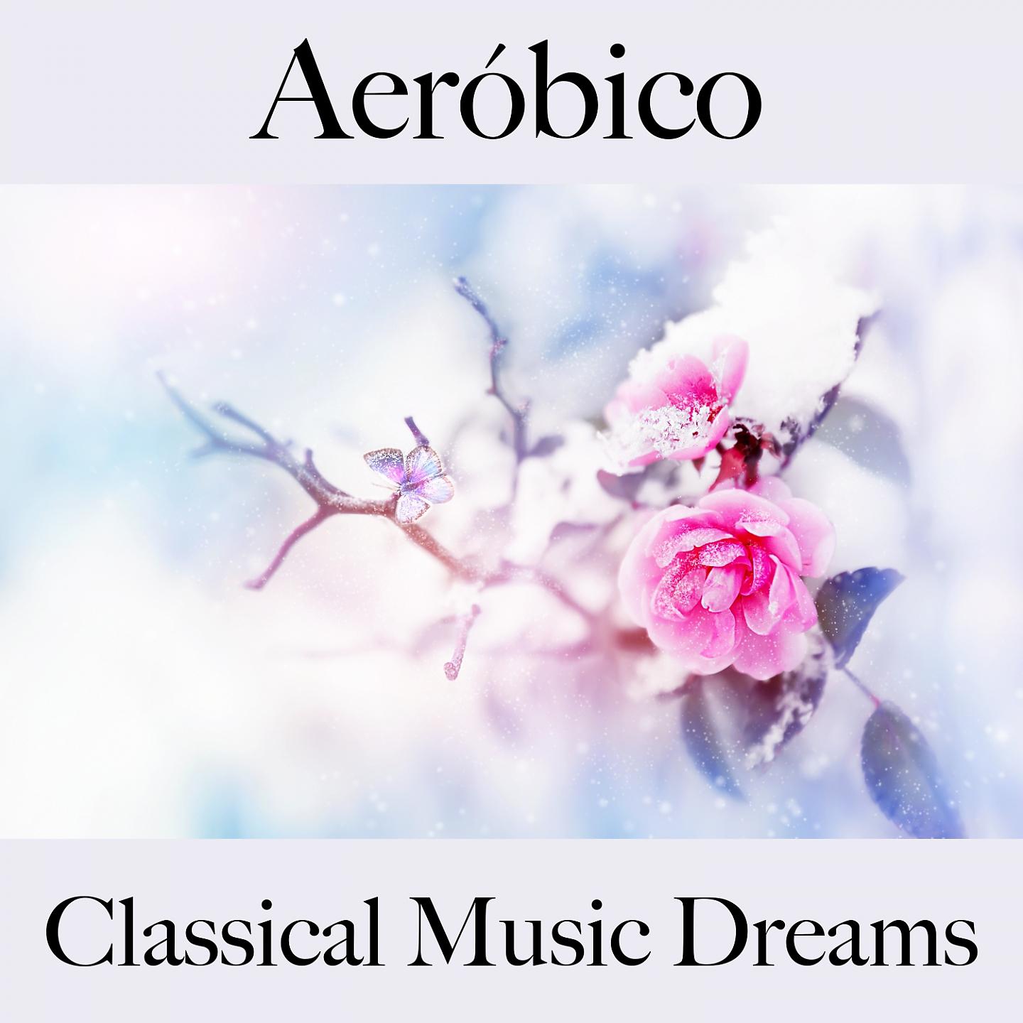 Постер альбома Aeróbico: Classical Music Dreams - Os Melhores Sons Para Malhar