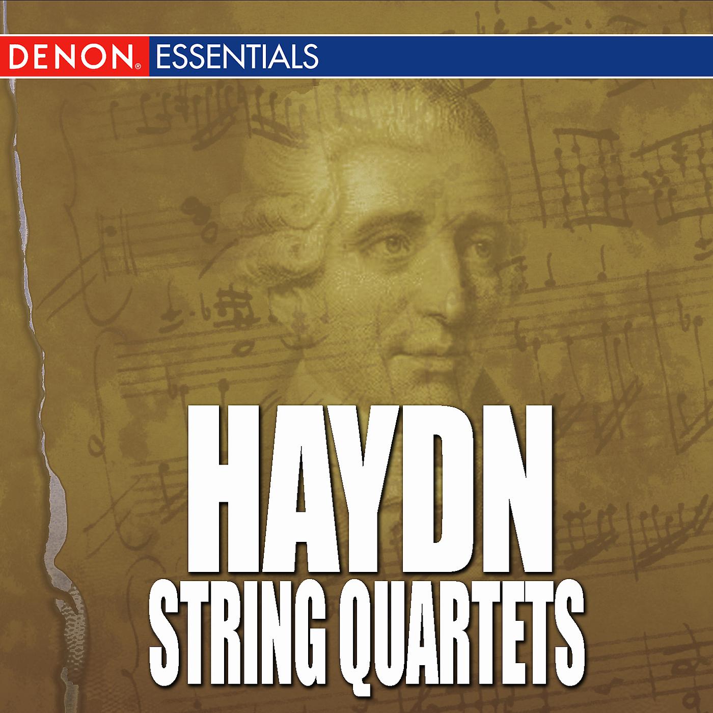Постер альбома Haydn - String Quartets