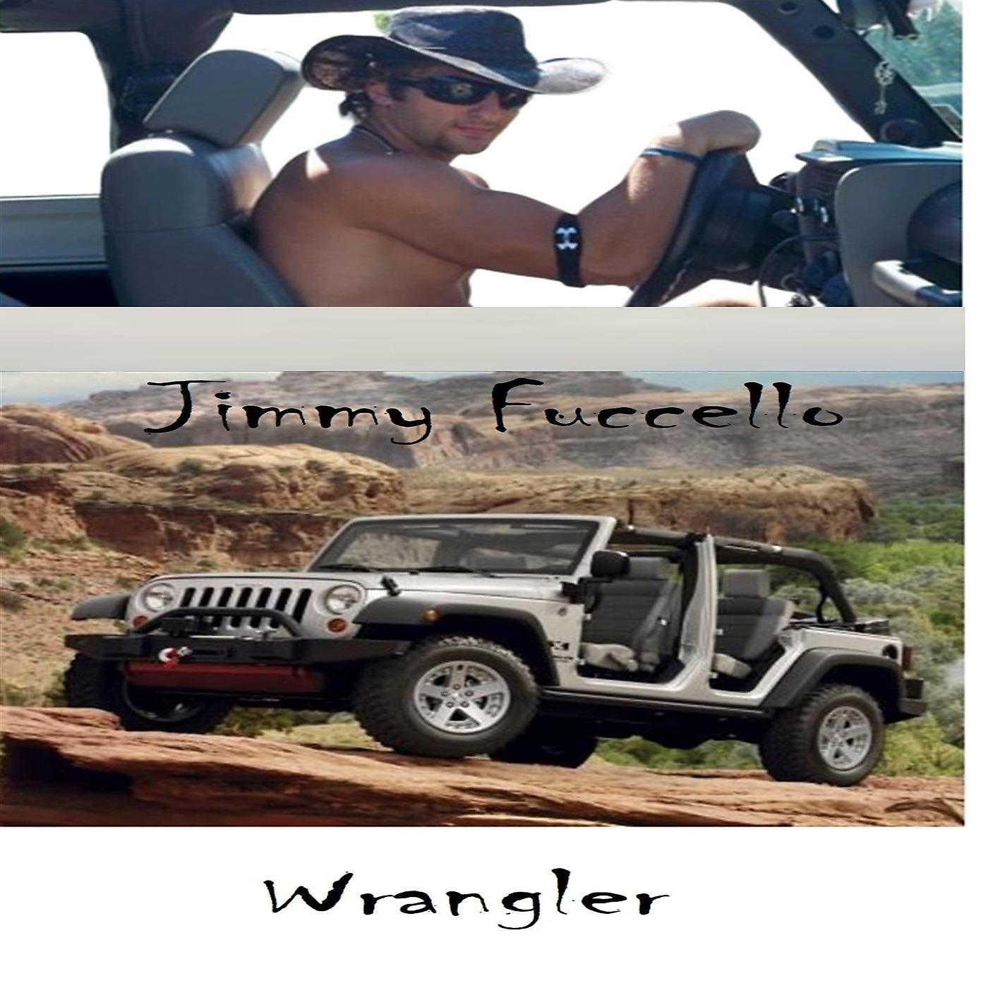 Постер альбома Wrangler