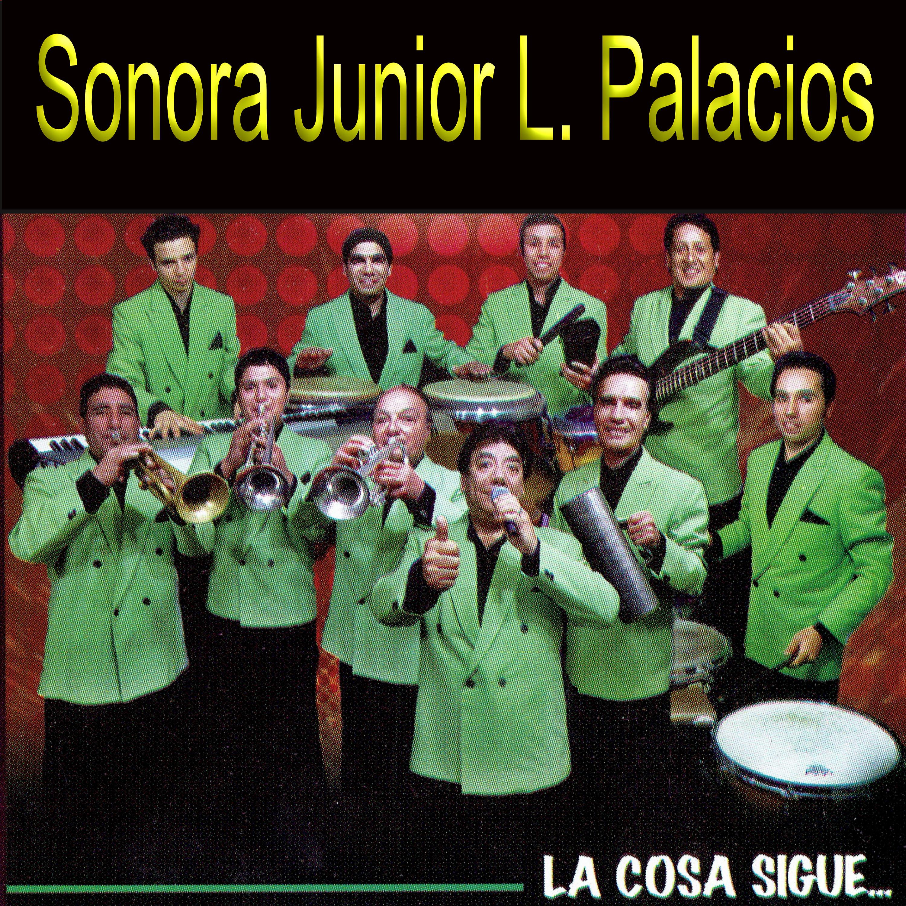 Sonora Junior L. Palacios - Hagámoslo a Escondidas