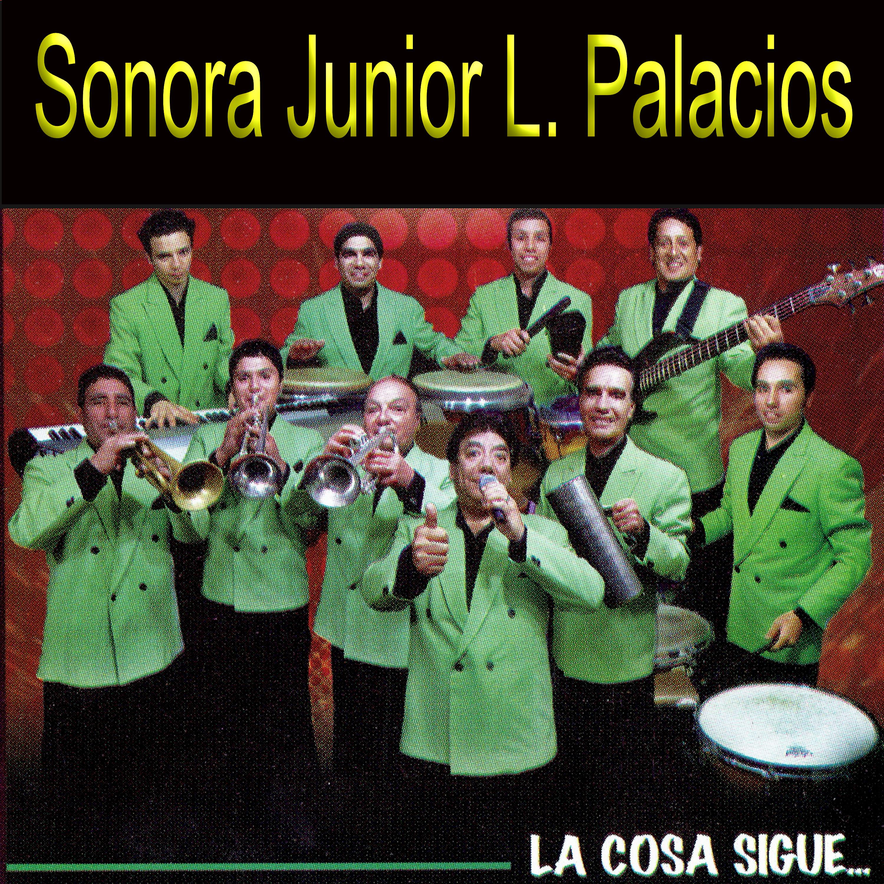 Sonora Junior L. Palacios - Qué Le Pasa a Lupita / Abusadora / Consígueme Eso / No Metas las Manos