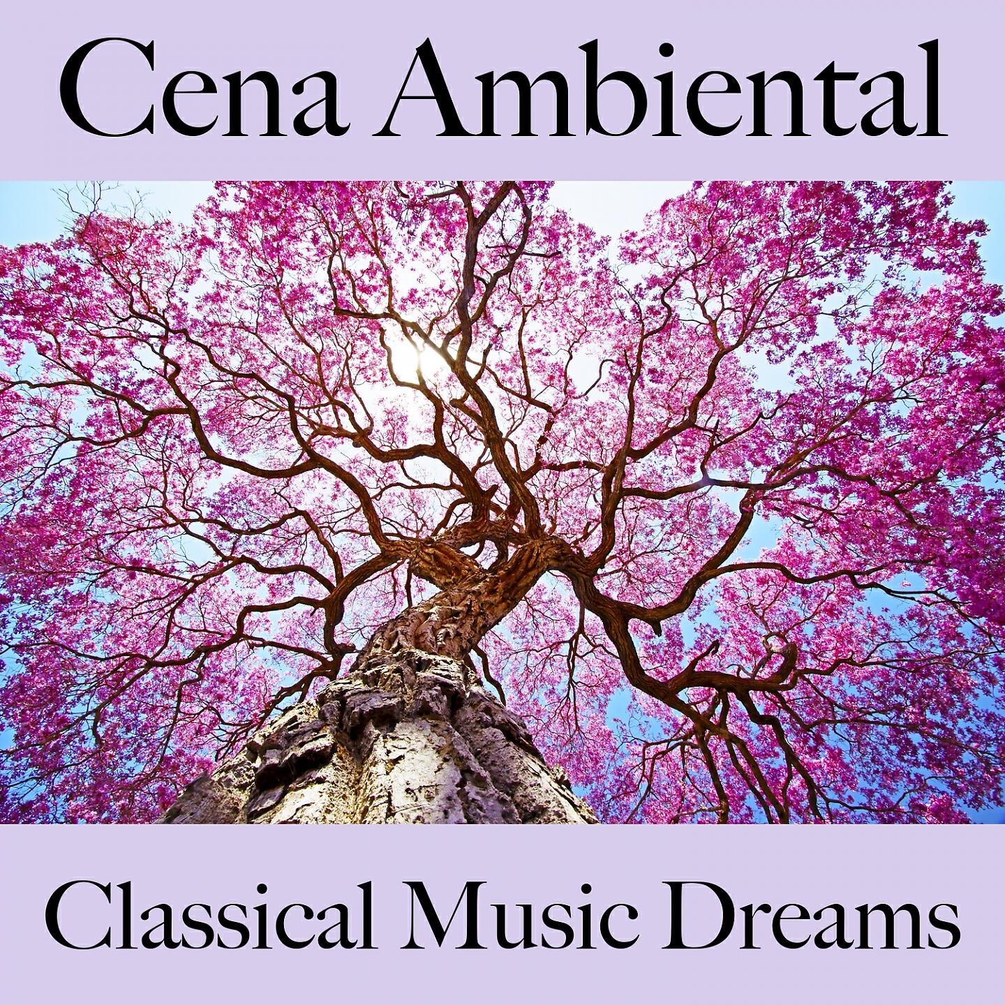 Chicago Symphony Orchestra - The Song of the Earth: VI. The Farewell