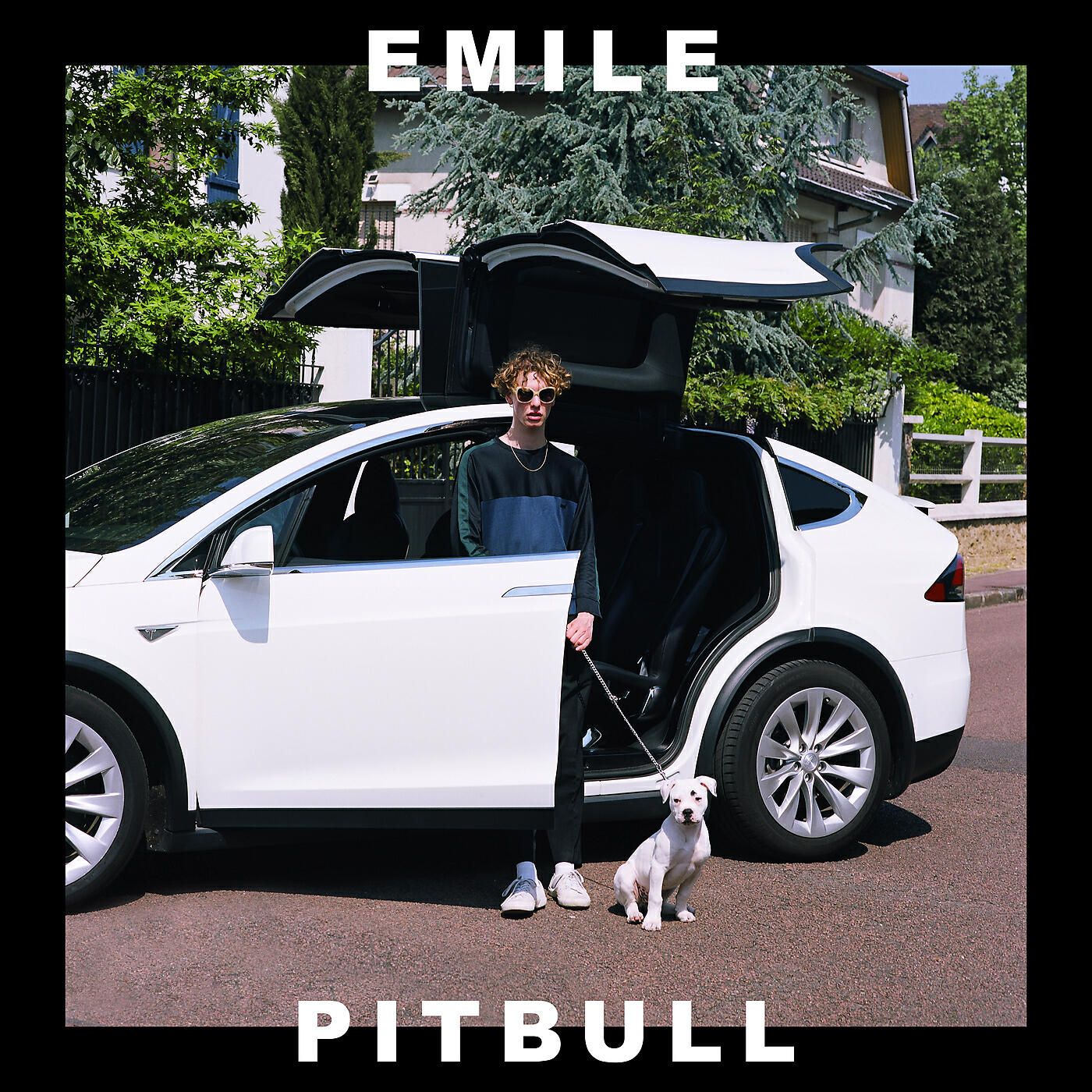 EMILE - Pitbull