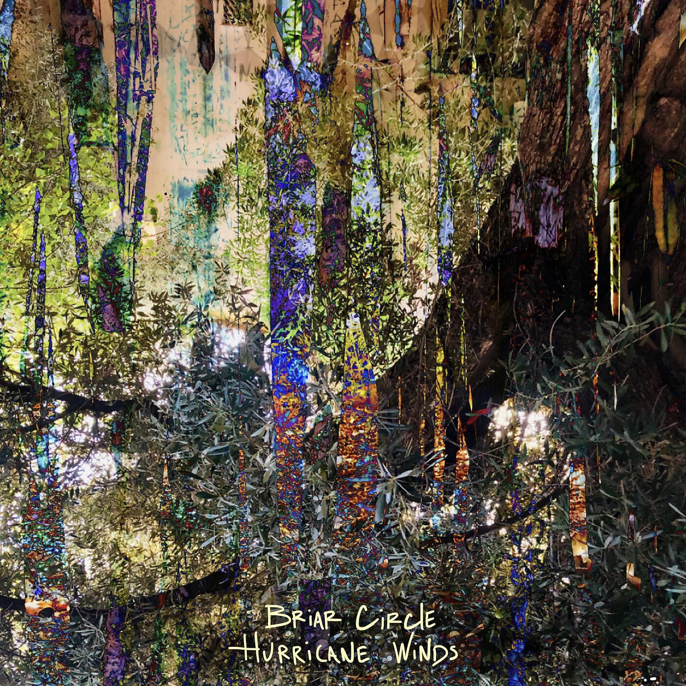Briar Circle - Hurricane Winds