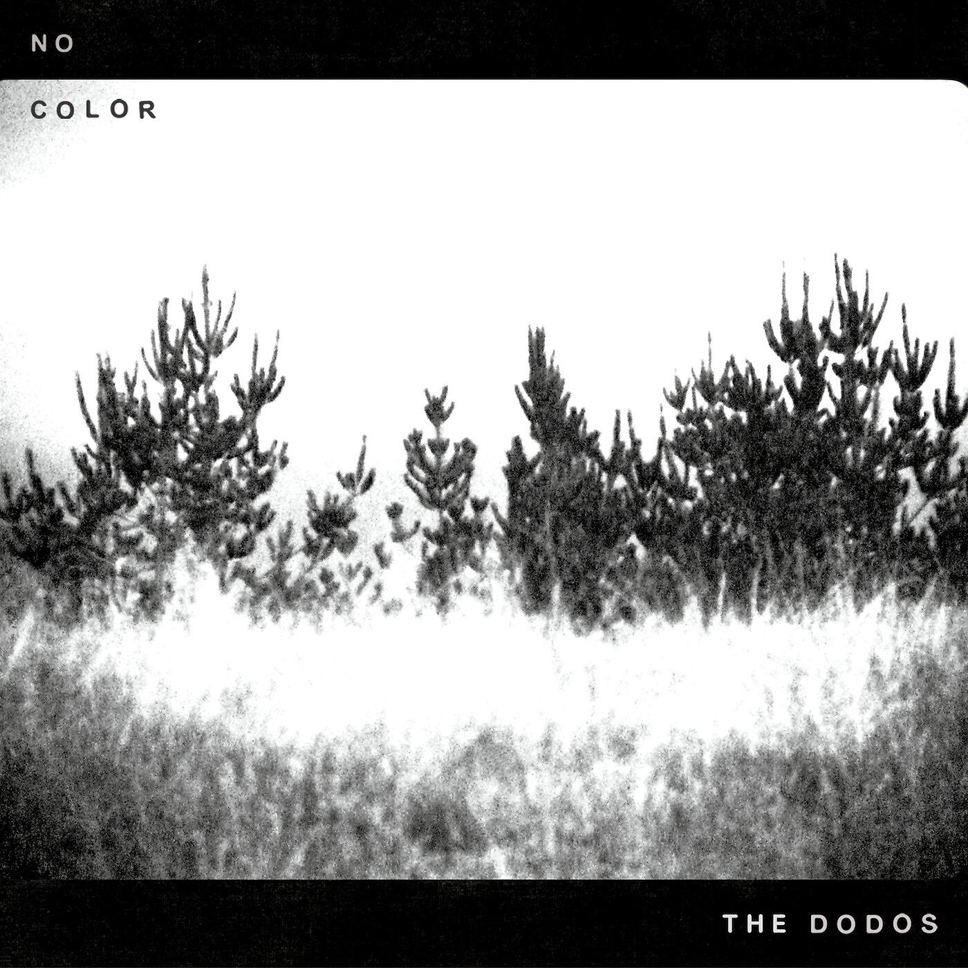 The Dodos - Don't Try and Hide It