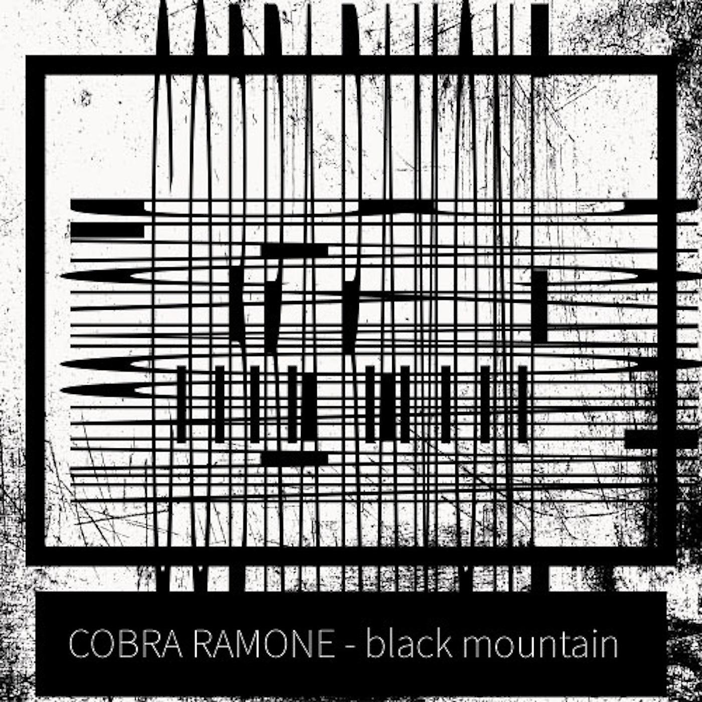 Постер альбома Black Mountain