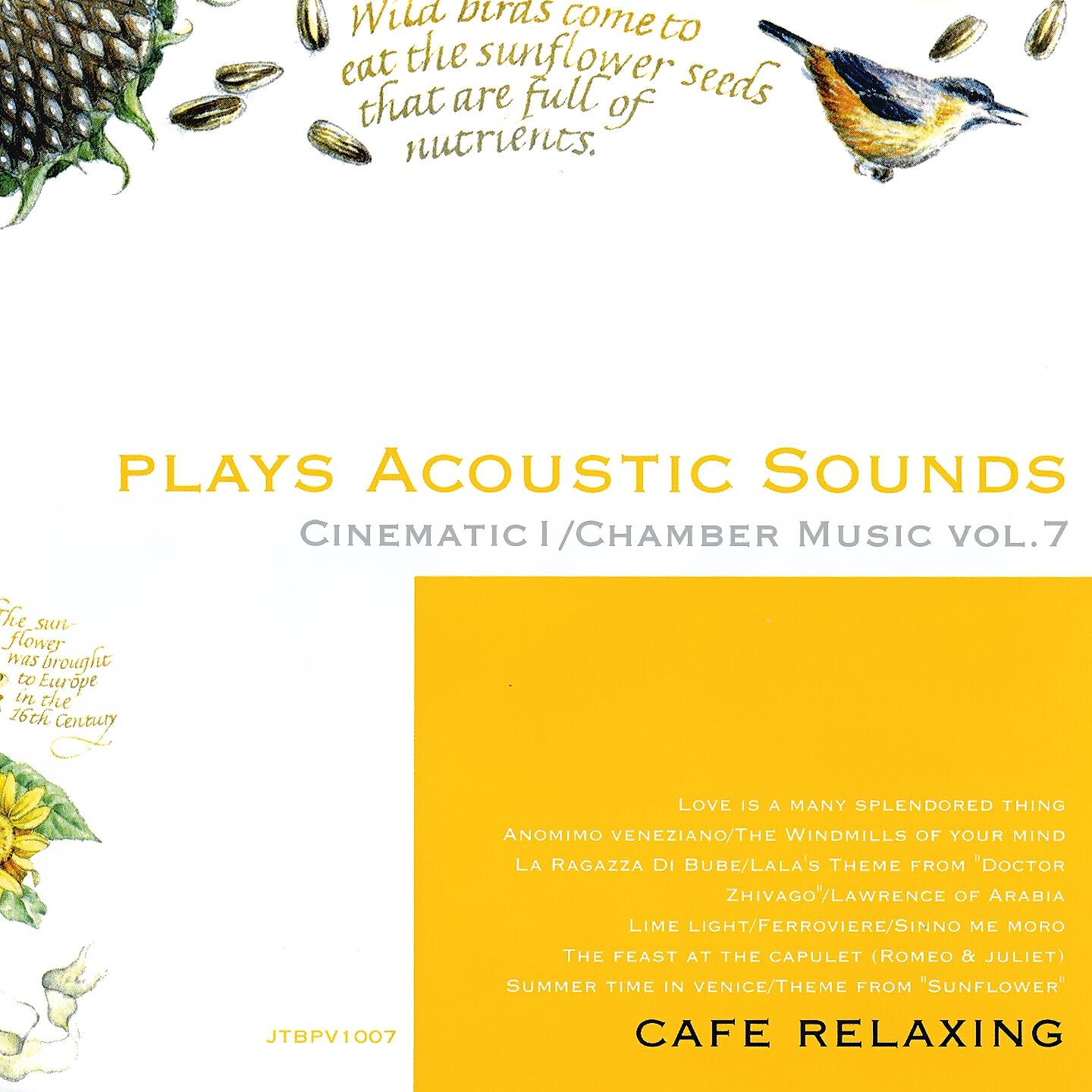 Orchestra Maffei String Quartet - Lime Light