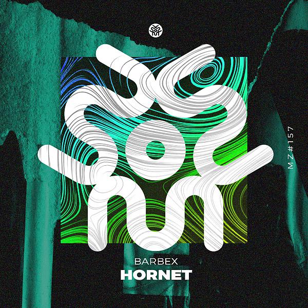 Постер альбома Hornet