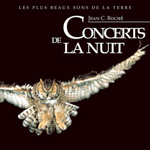 Jean C. Roché - Ambiances de la forêt d'Arganiers près d'Agadir