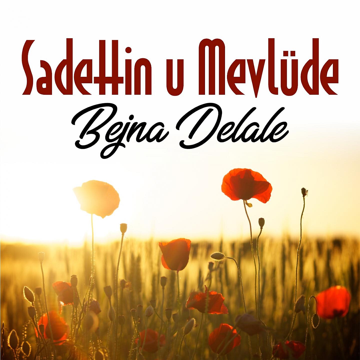 Sadettin u Mevlude - Helin