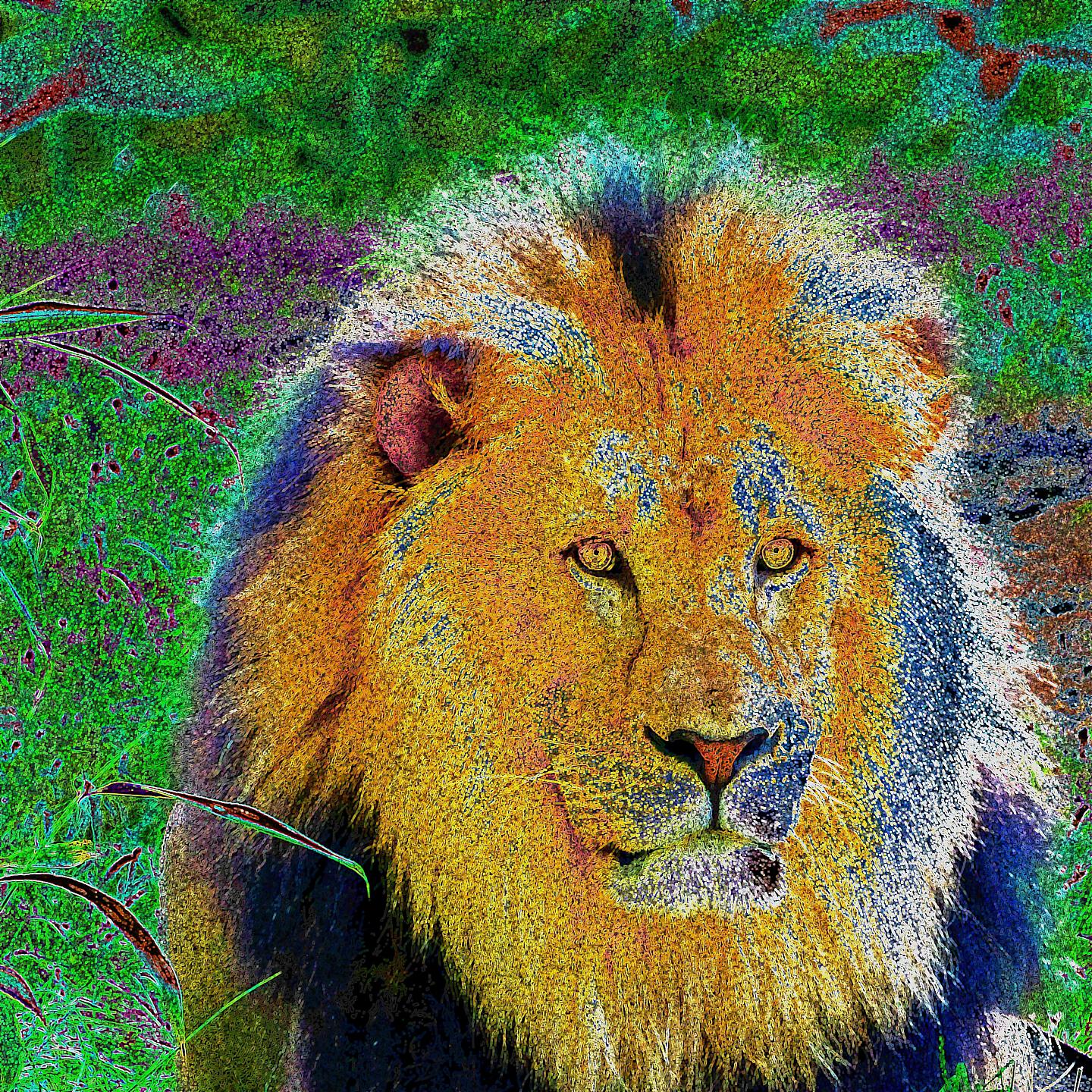 Oliver Nelson - Butch And Butch