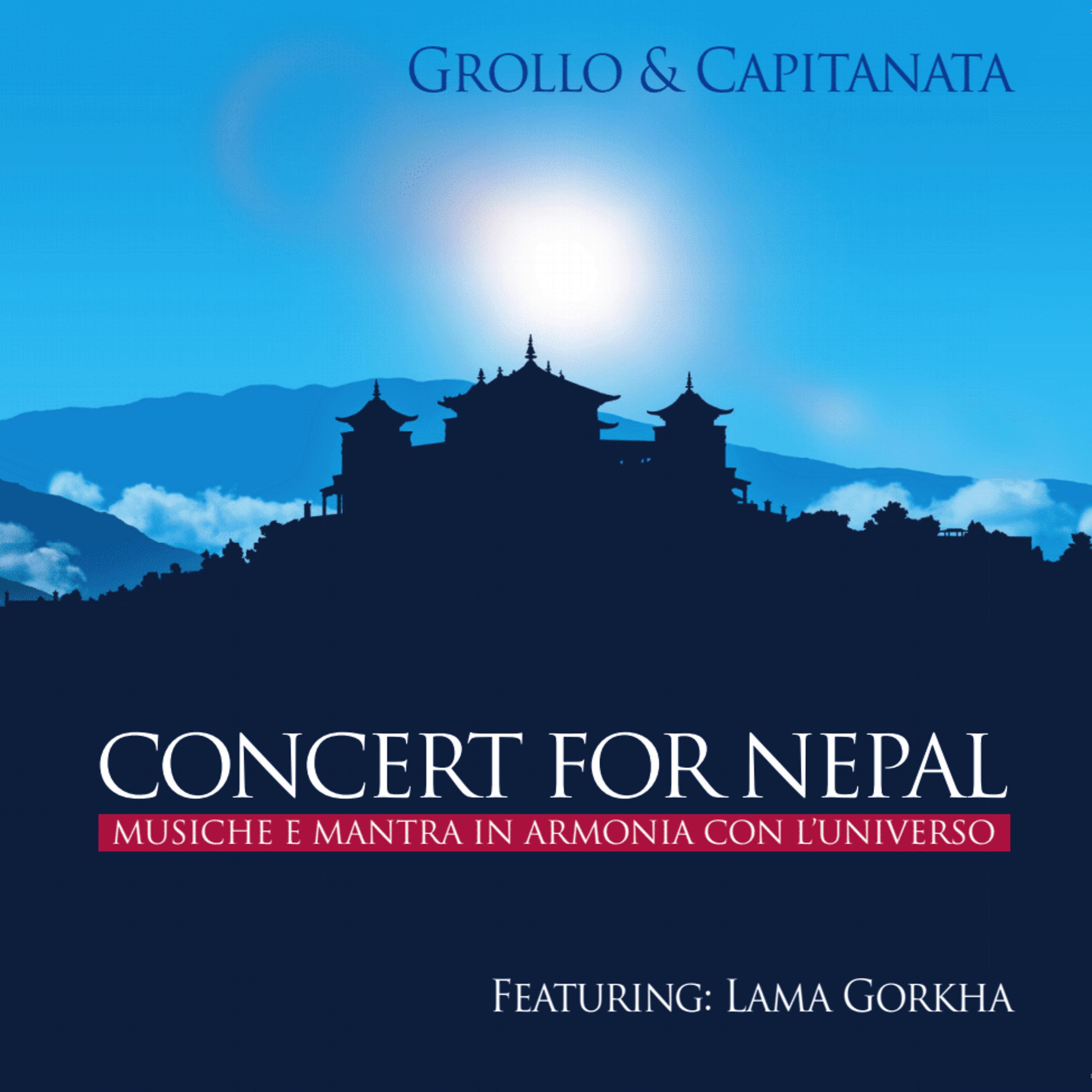 Постер альбома Concert for Nepal