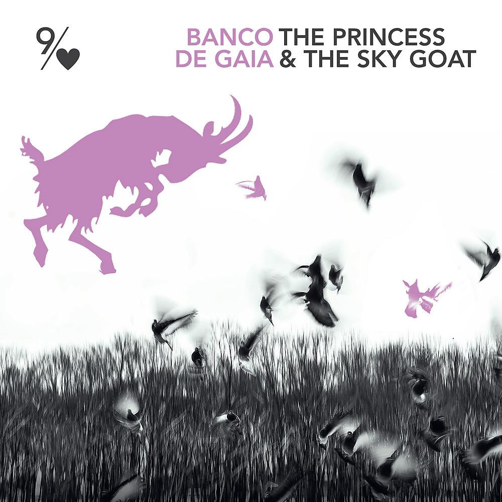 Постер альбома The Princess and the Sky Goat