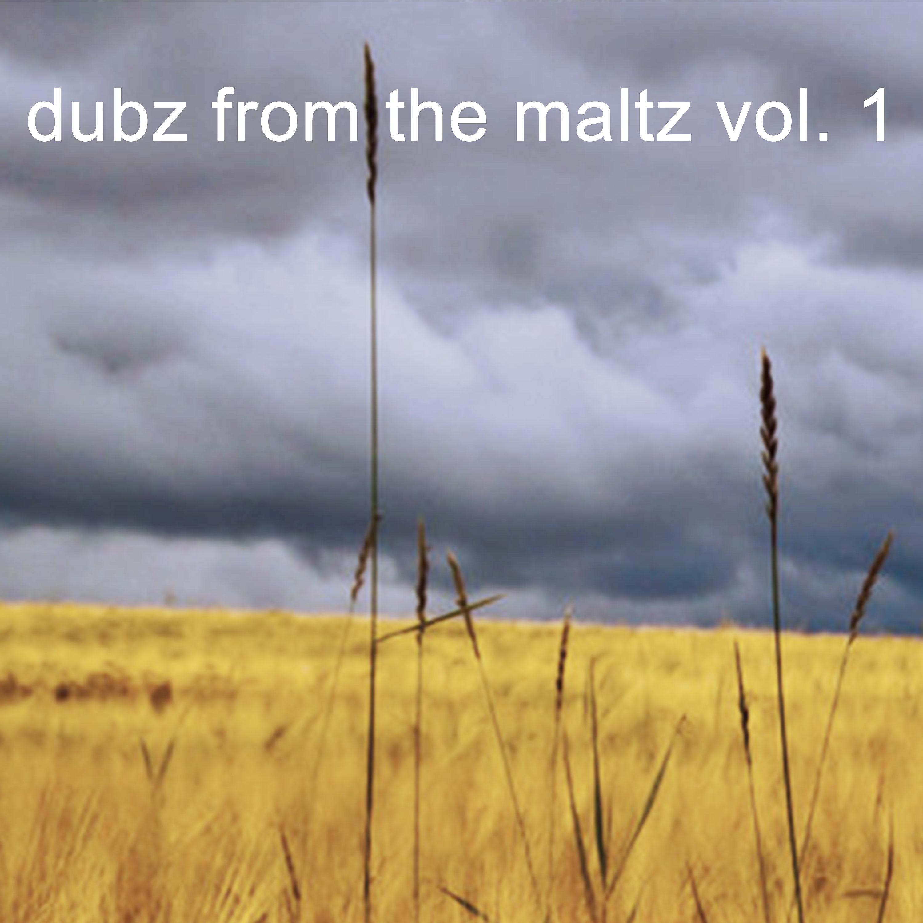 Постер альбома Dubz from the Maltz Vol.1