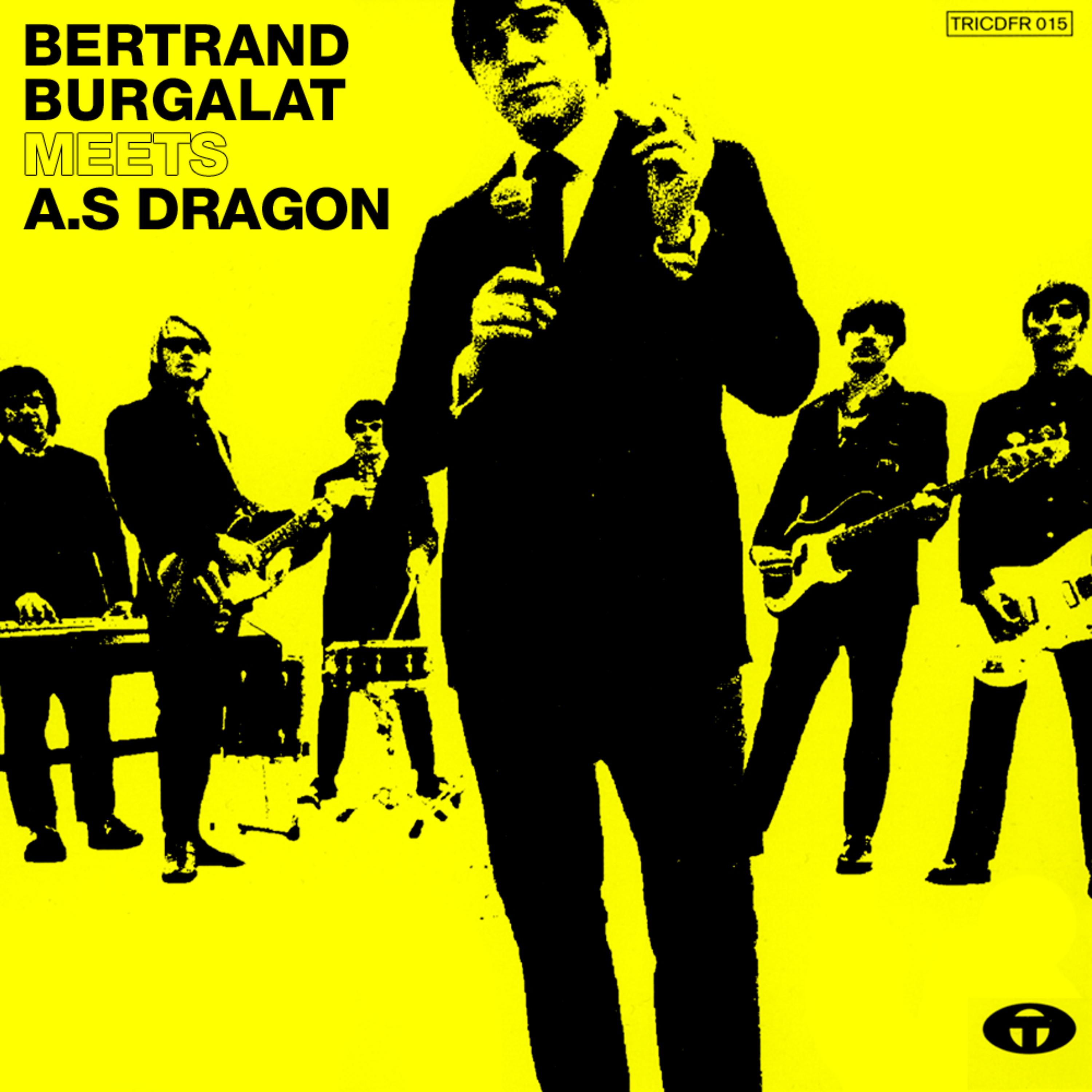 Постер альбома Bertrand Burgalat Meets A.S Dragon