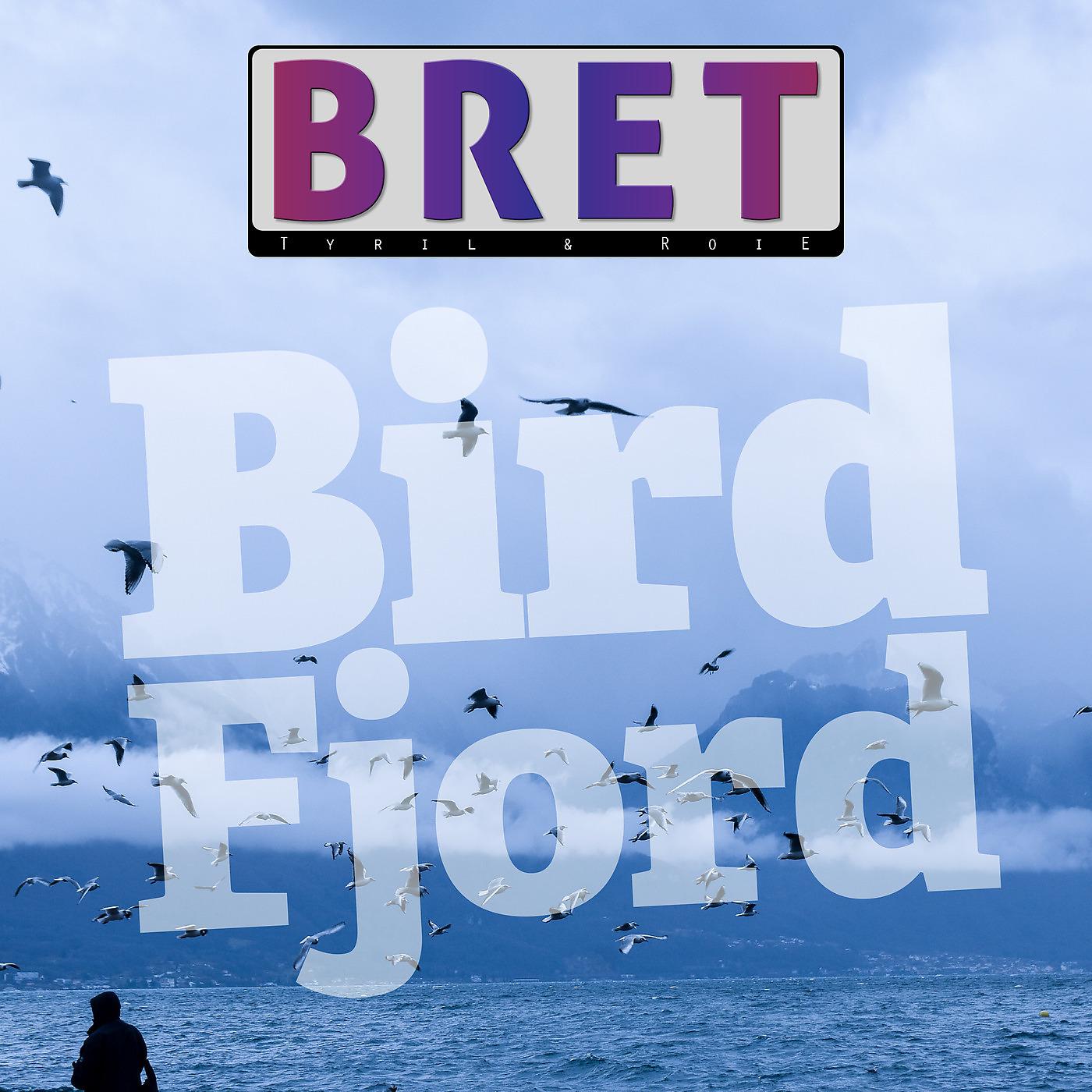 Постер альбома Bird Fjord
