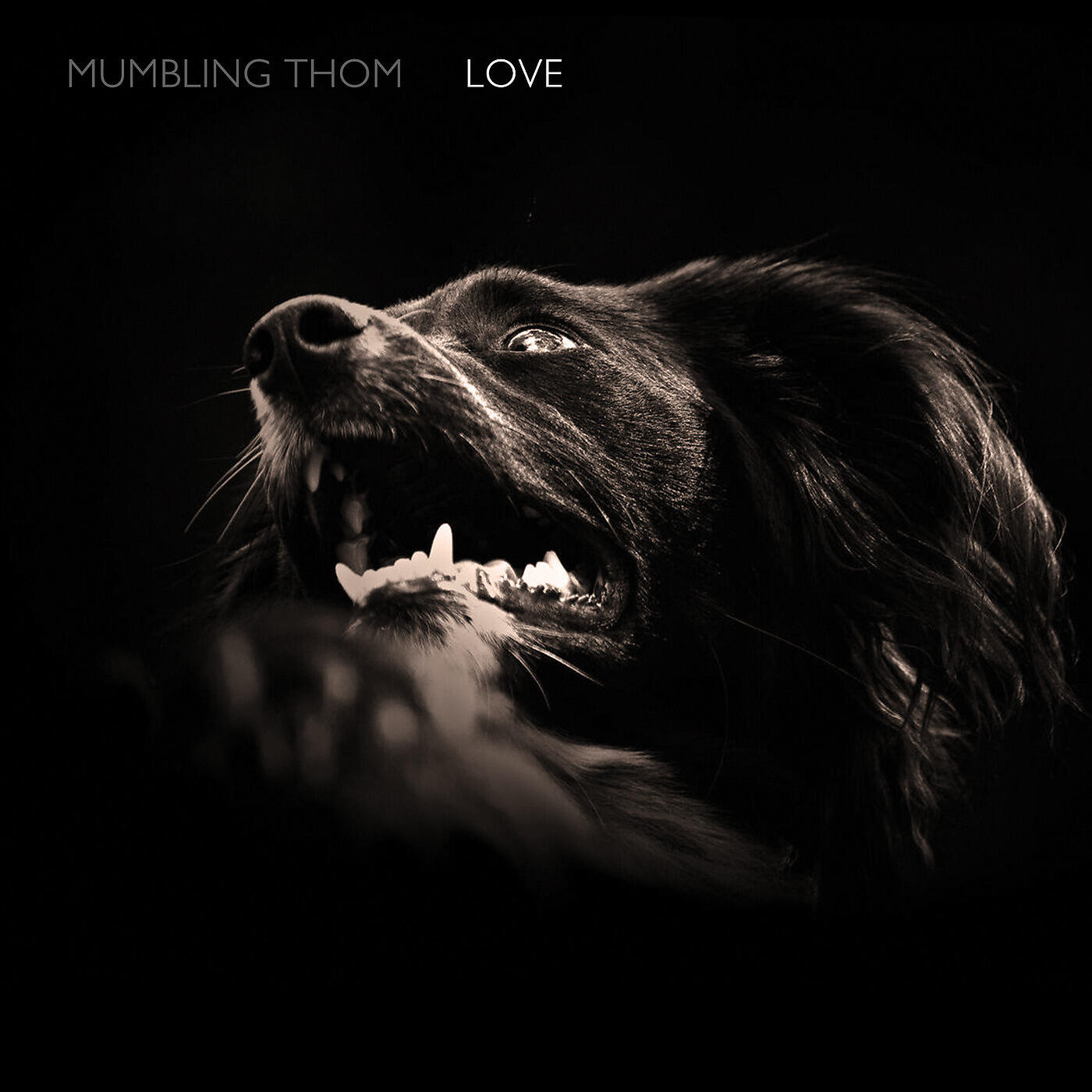 Mumbling Thom - The O Mind