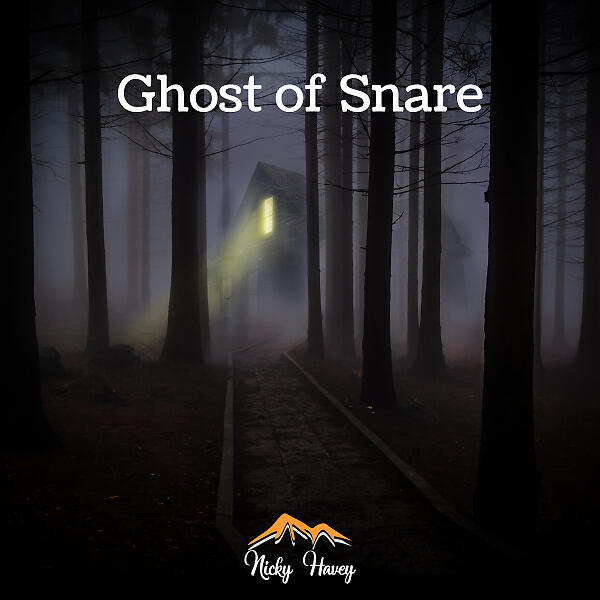 Nicky Havey - Ghost of Snare