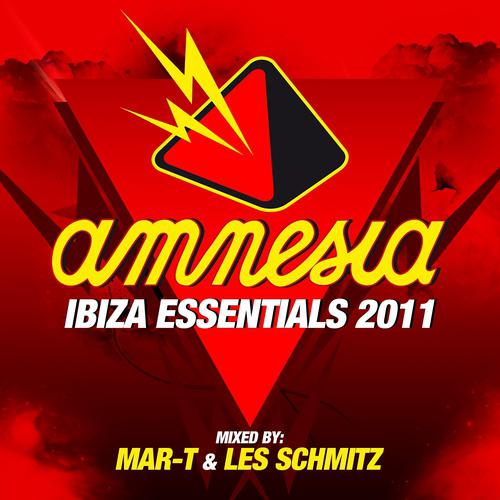 Постер альбома Amnesia Ibiza Essentials 2011