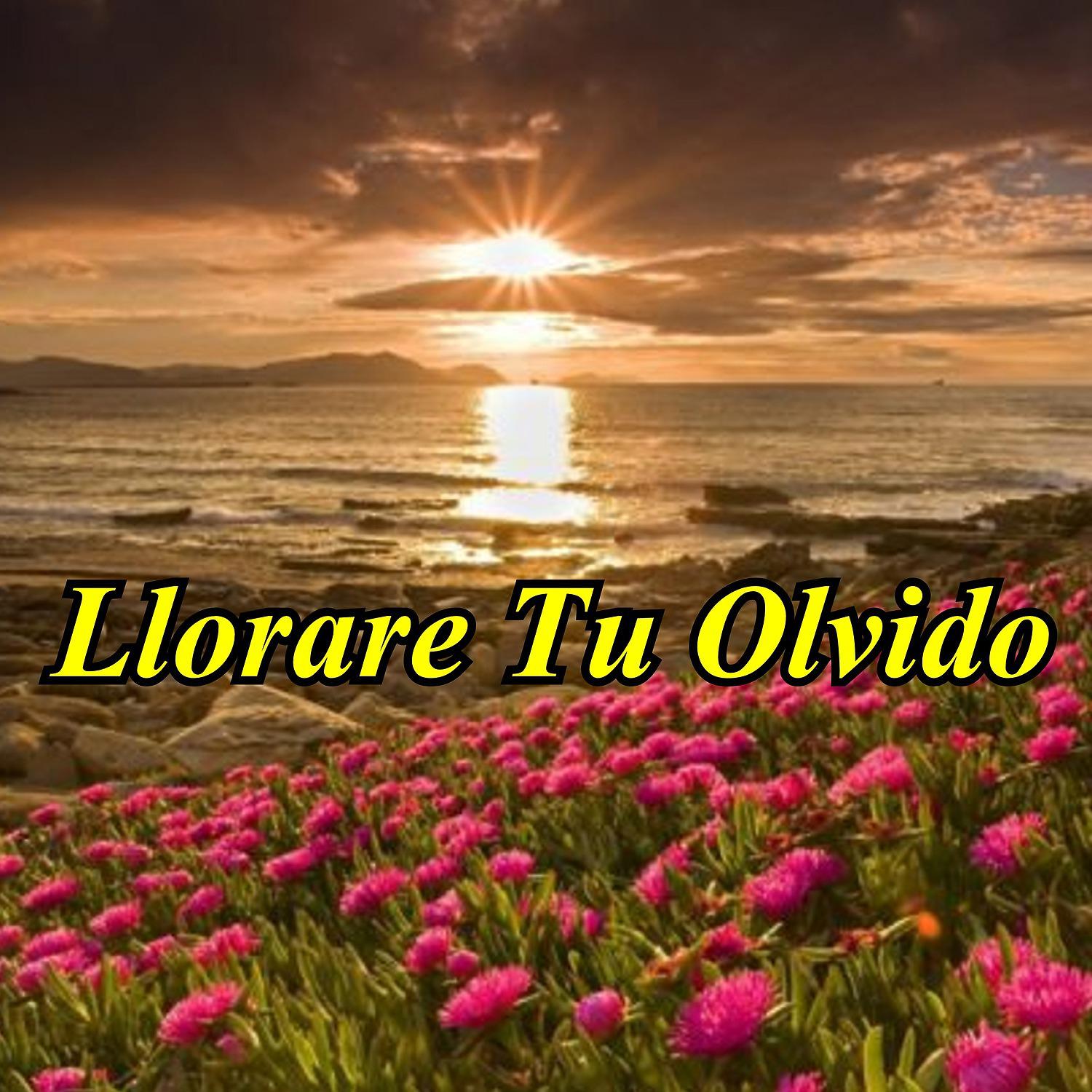 Постер альбома Llorare  Tu Olvido