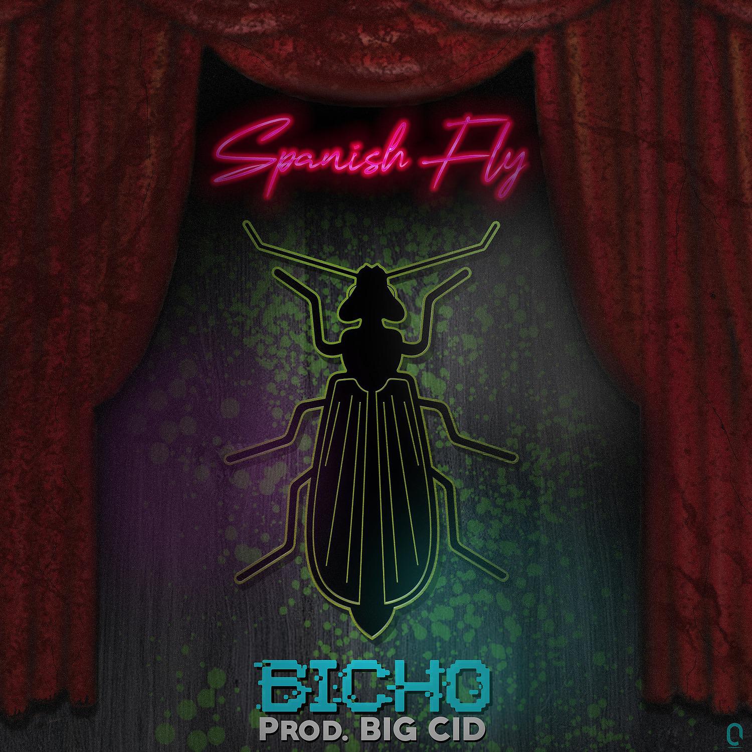 Постер альбома Bicho