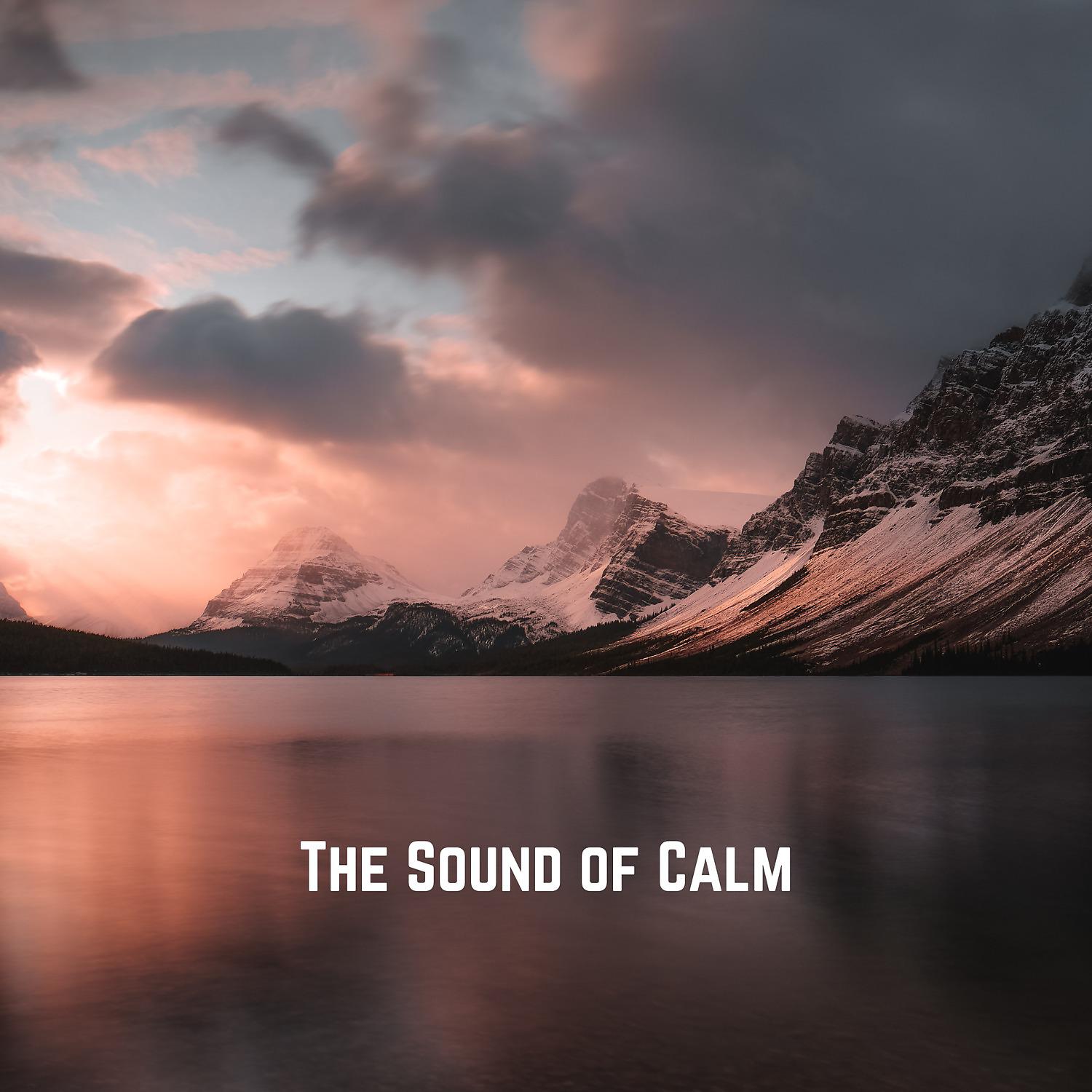 Постер альбома The Sound of Calm