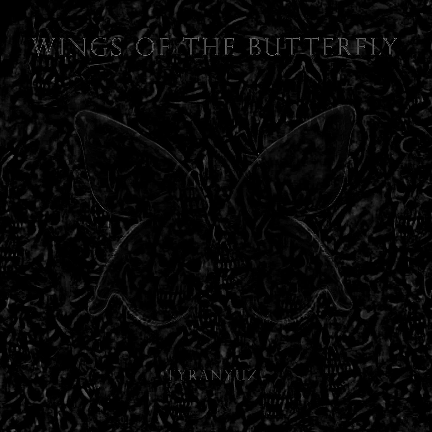 Постер альбома Wings of the Butterfly