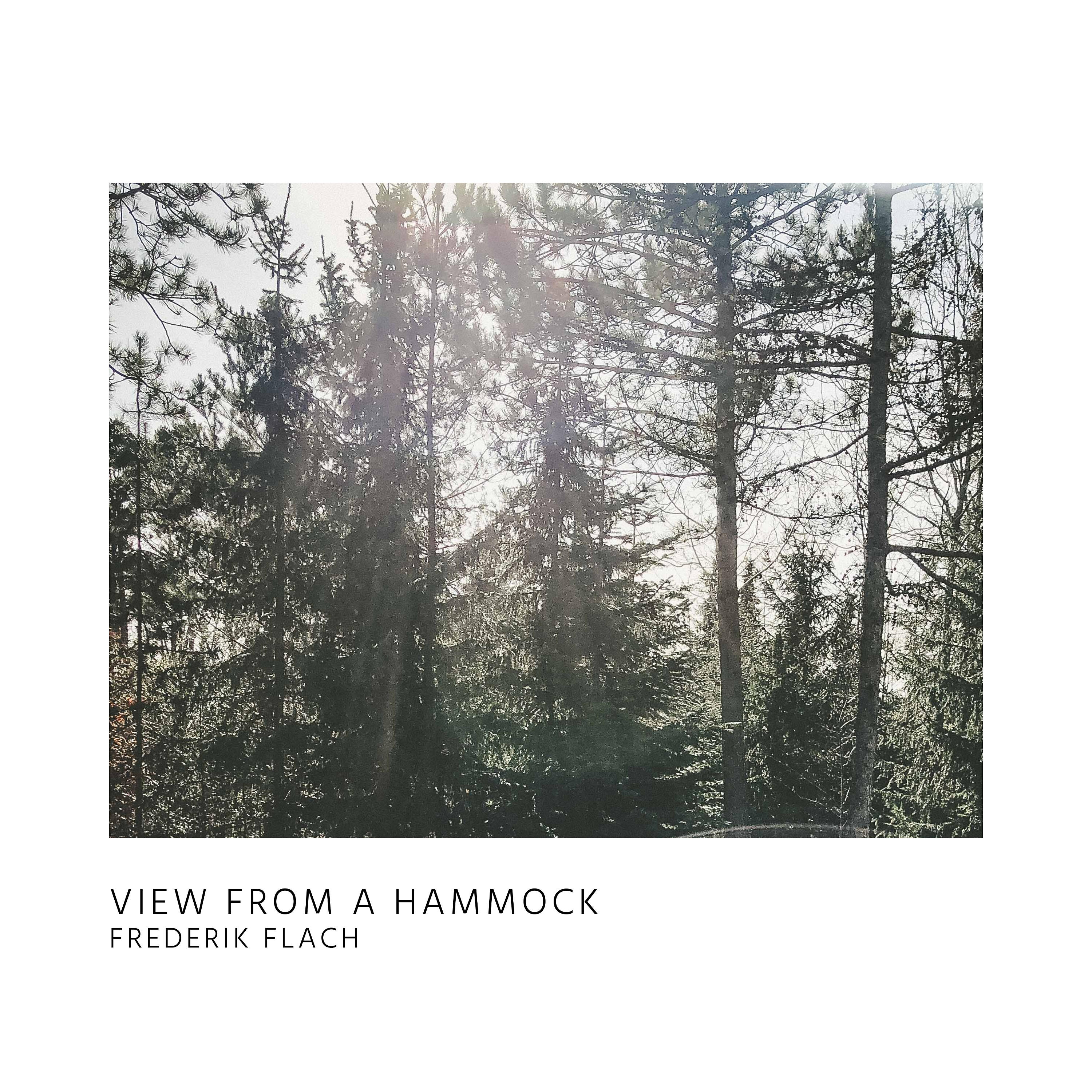 Frederik Flach - View From A Hammock
