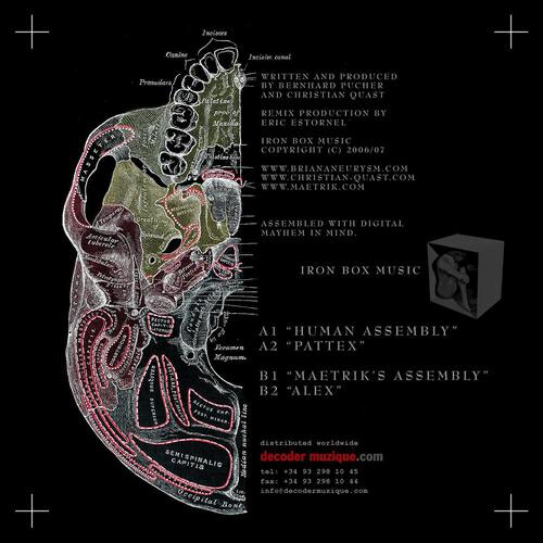 Brian Aneurysm - Pattex