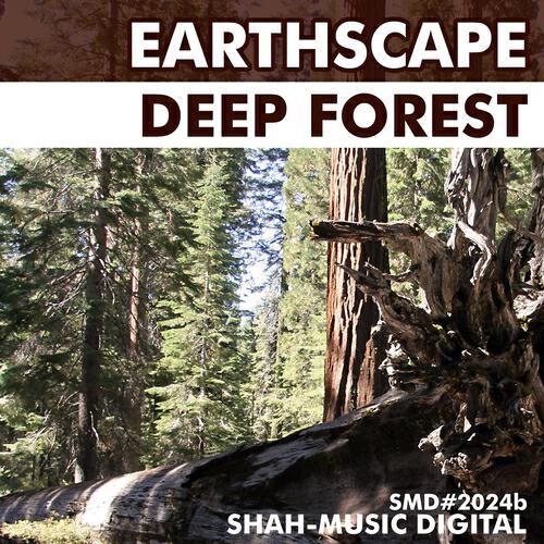 Earthscape - Deep Forest (Chillout Mix)