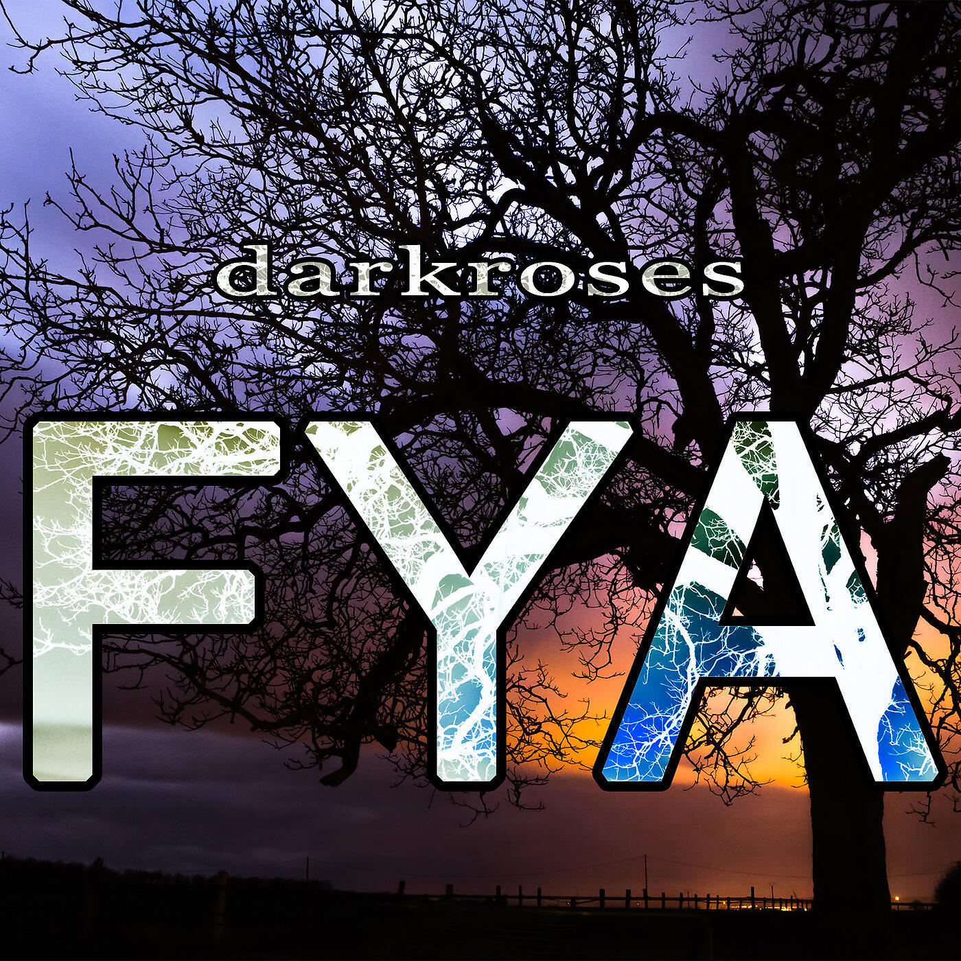 darkroses - Fya