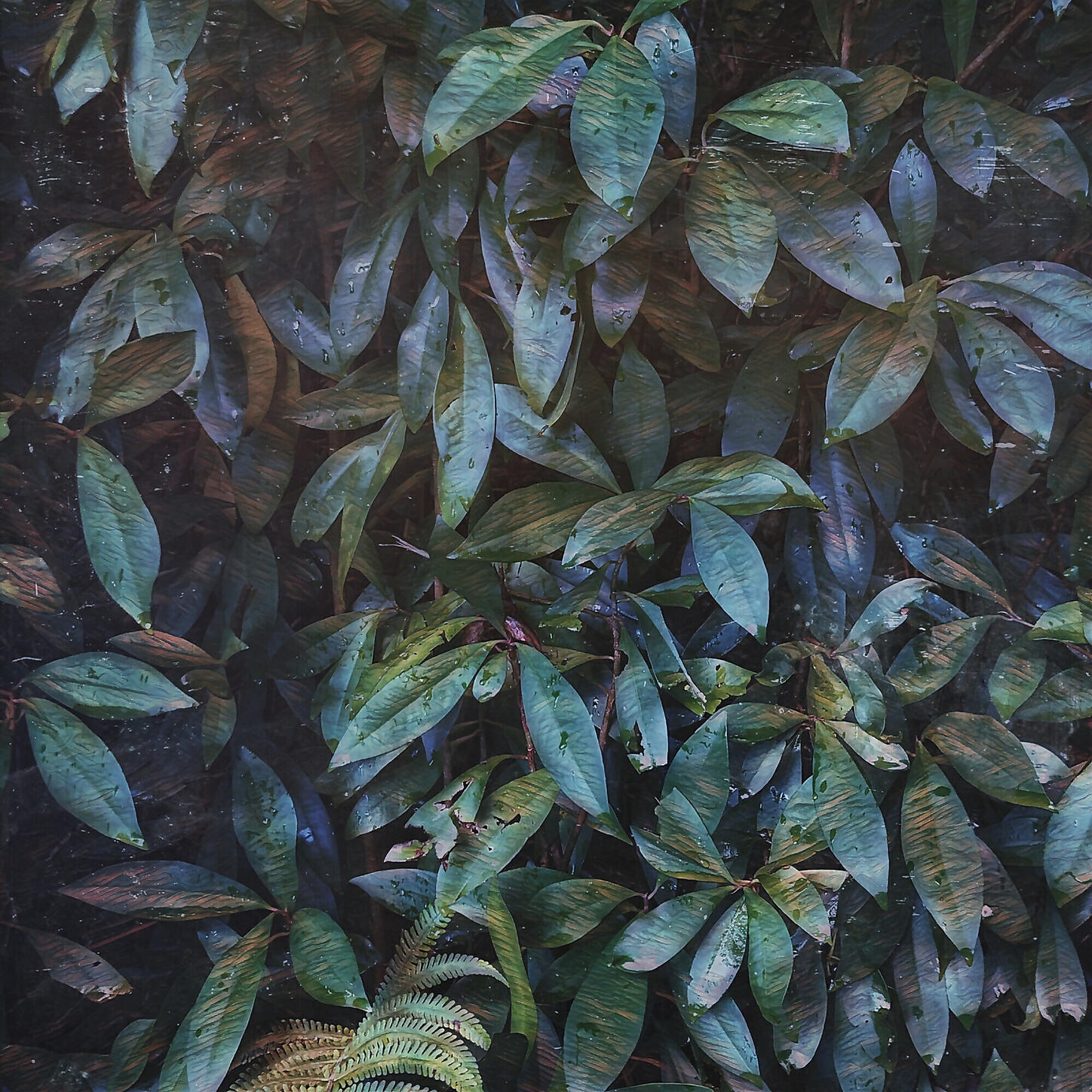 invention_ - jvngl
