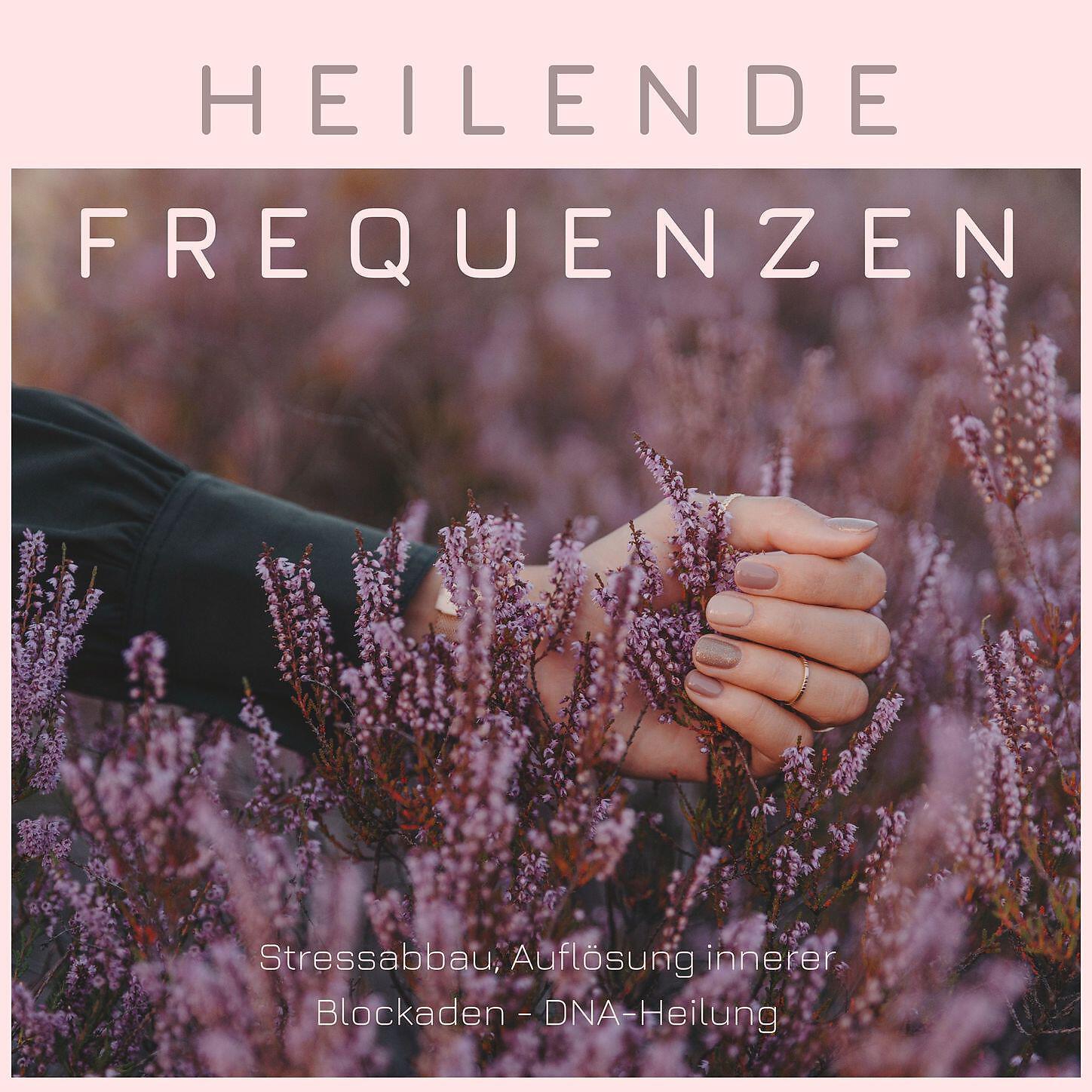 Schwangerschaft Entspannungsmusik Masters, Schlaflieder Prime Relax Unlimited - Meditationstechniken