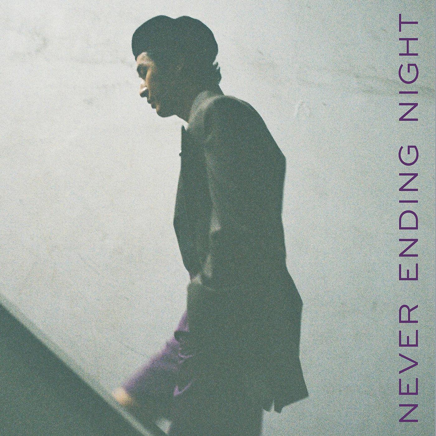 Постер альбома Never Ending Night