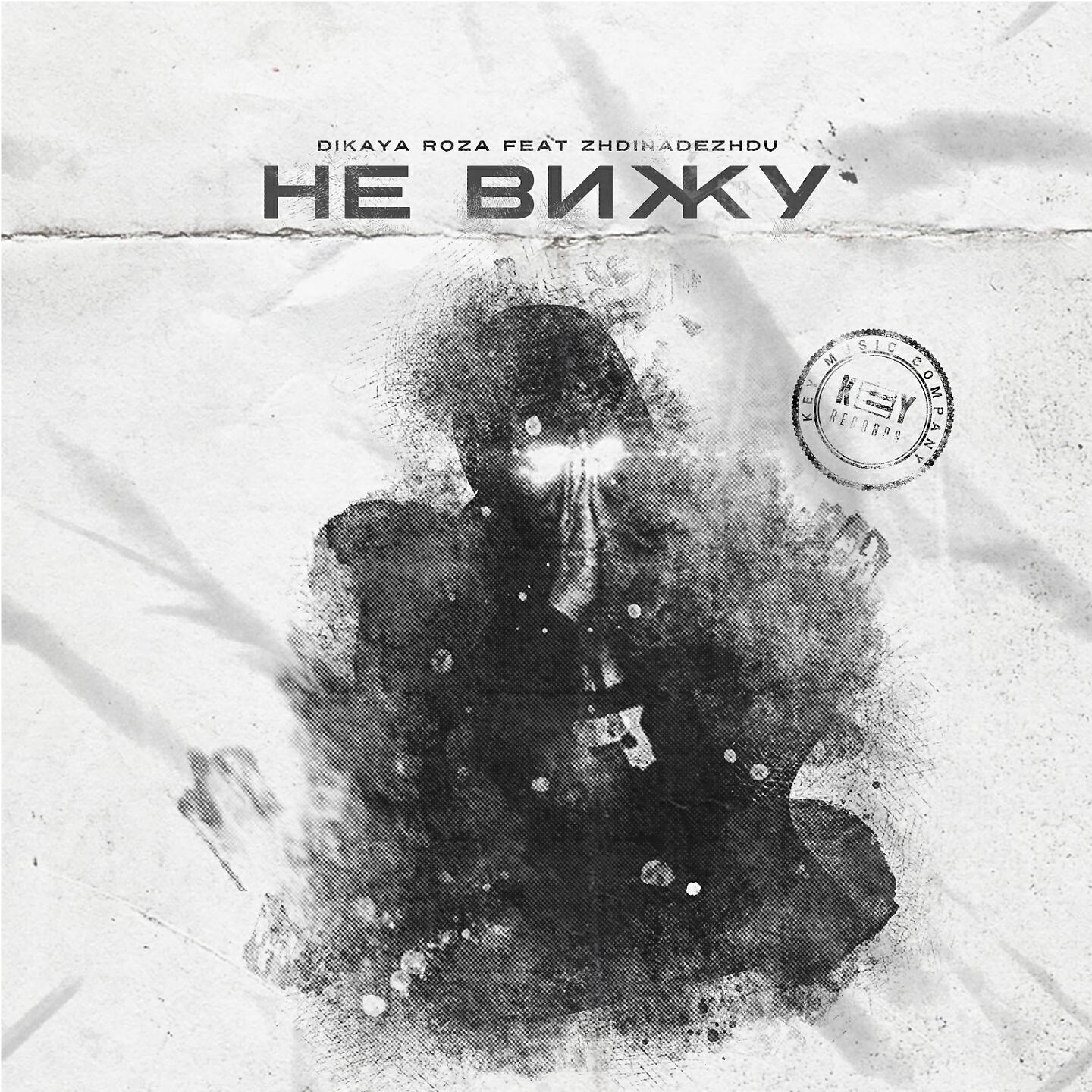 Dikaya Roza - Не вижу