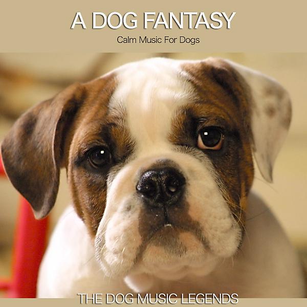Постер альбома A Dog Fantasy