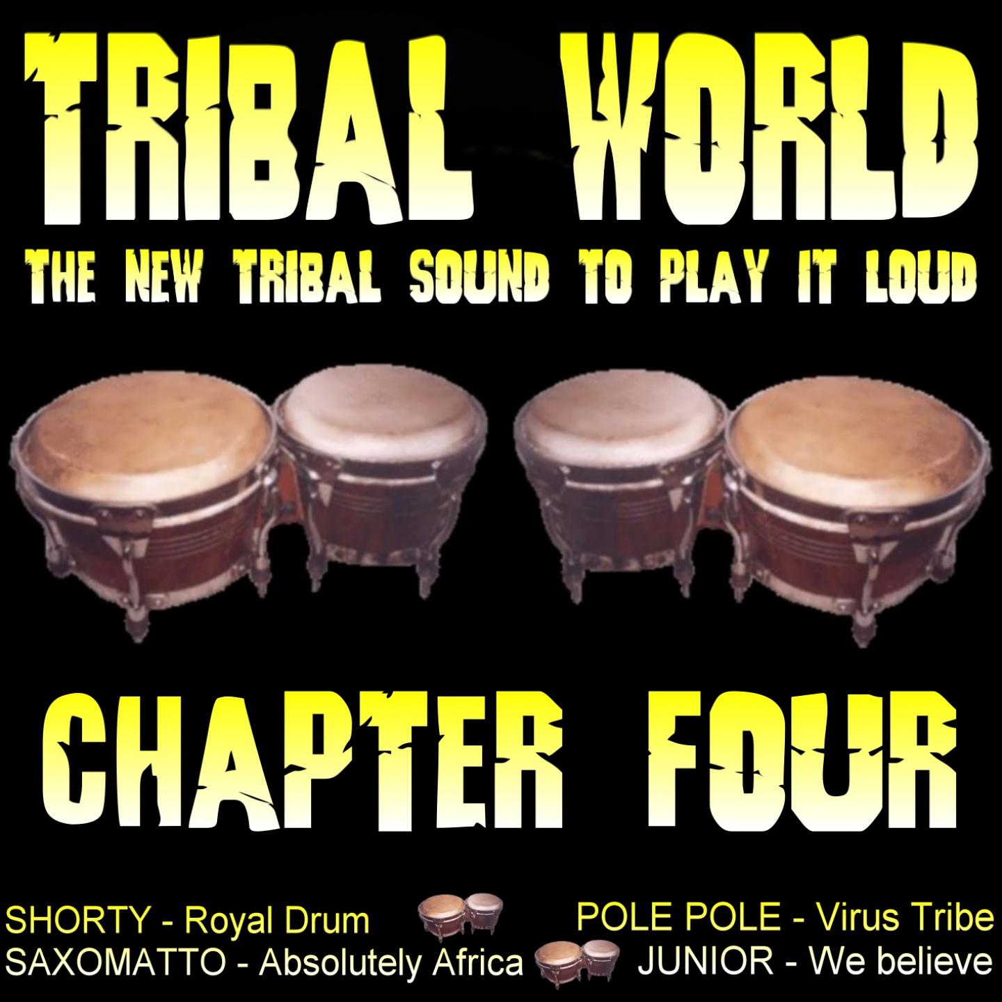 Постер альбома Tribal World - Chapter Four