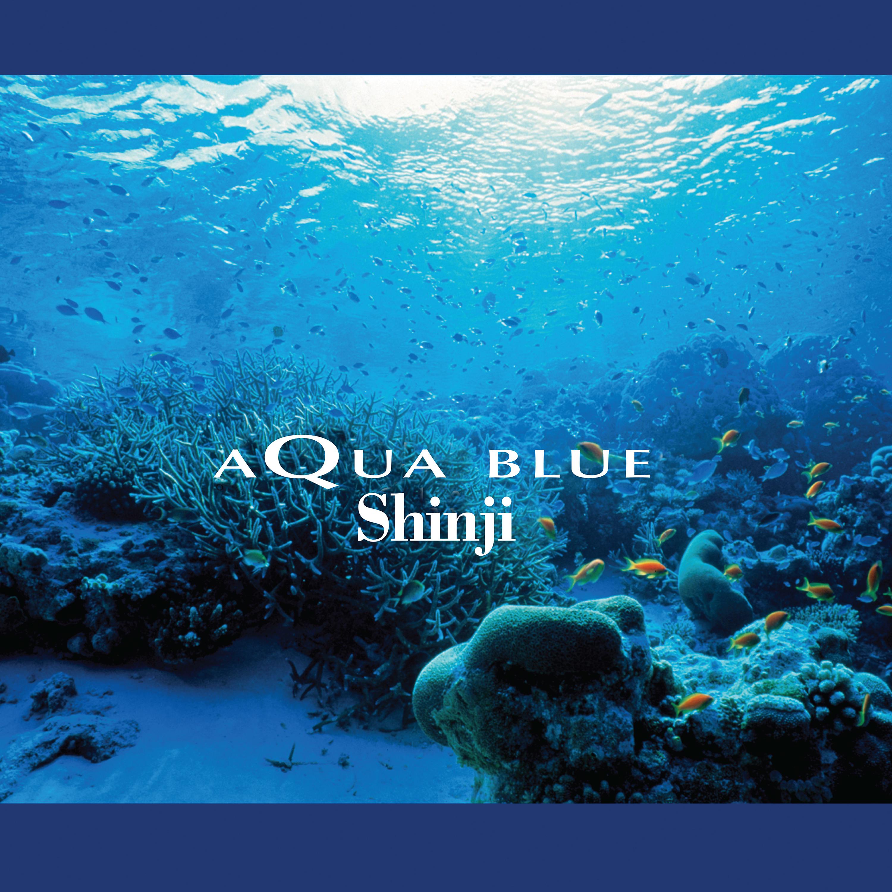Постер альбома Aqua Blue