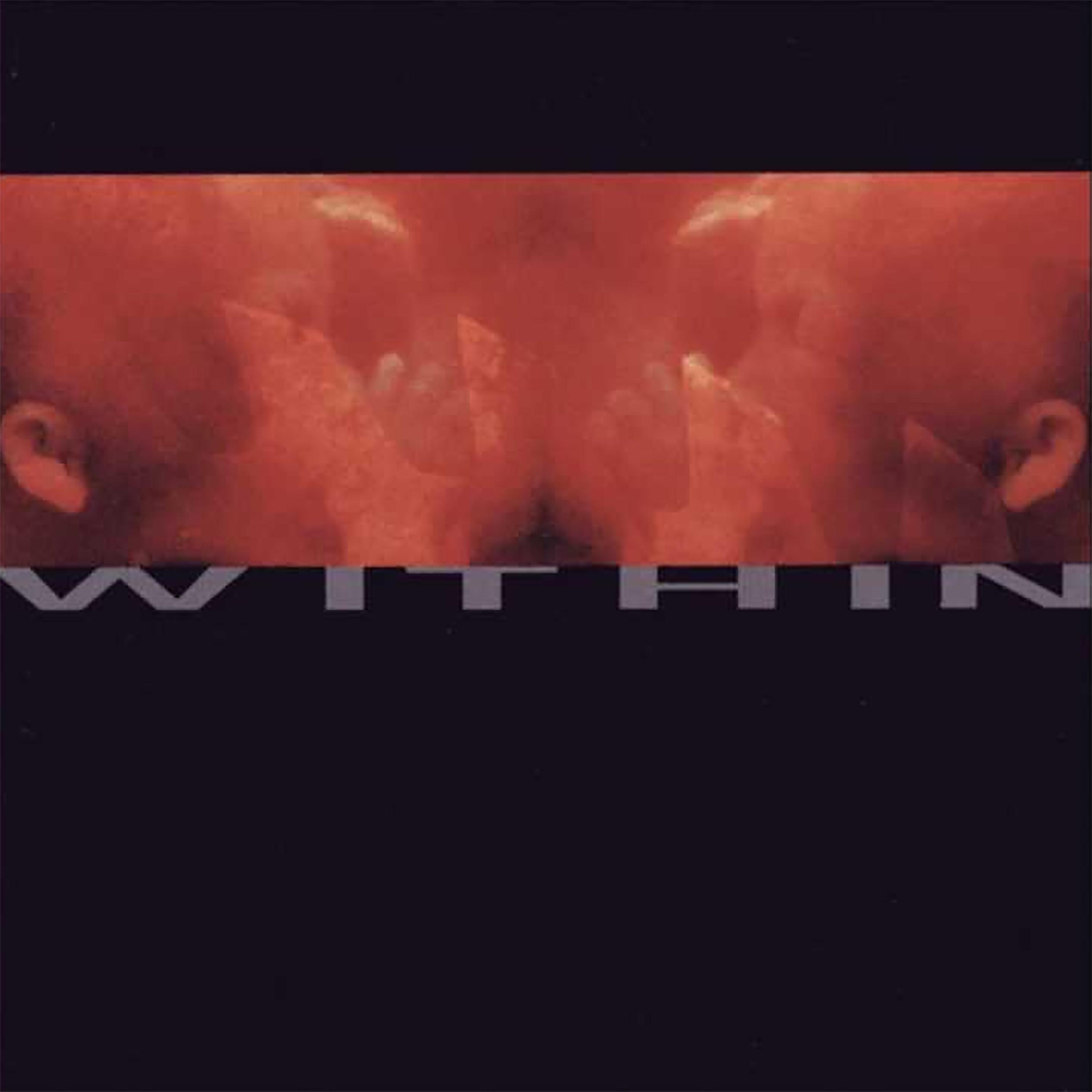 Постер альбома Within