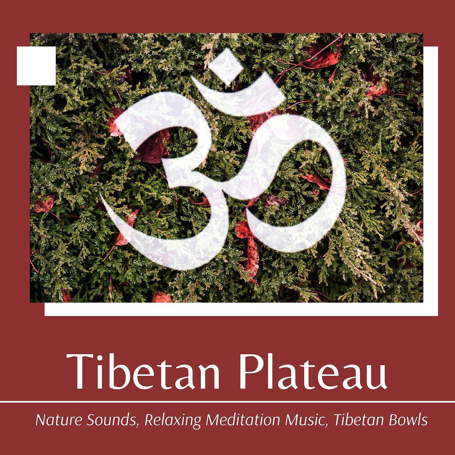 Tibetan Monks, Tibetan Meditation Music - Tranquil Mood (Zen Music)