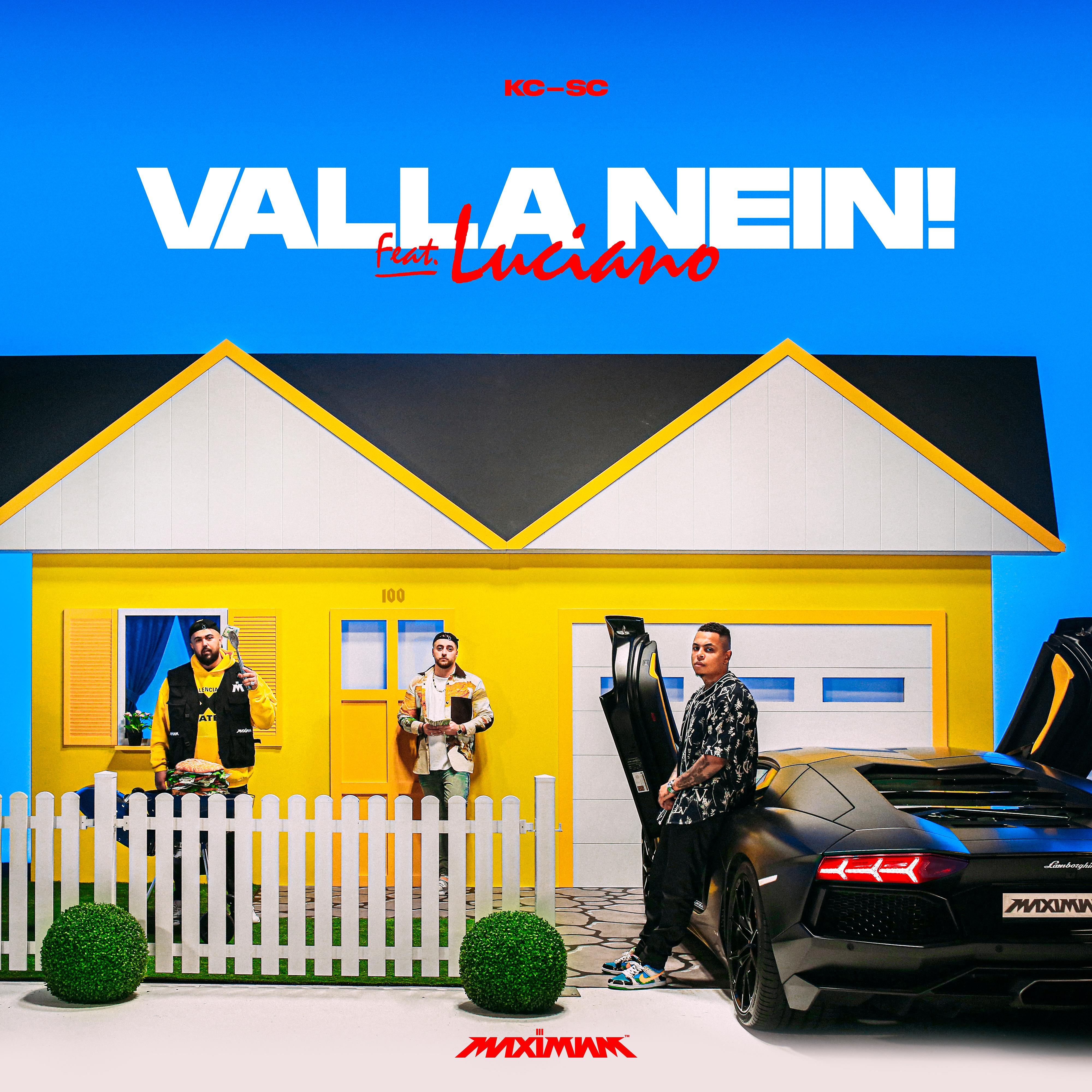 Постер альбома VALLA NEIN (feat. Luciano)