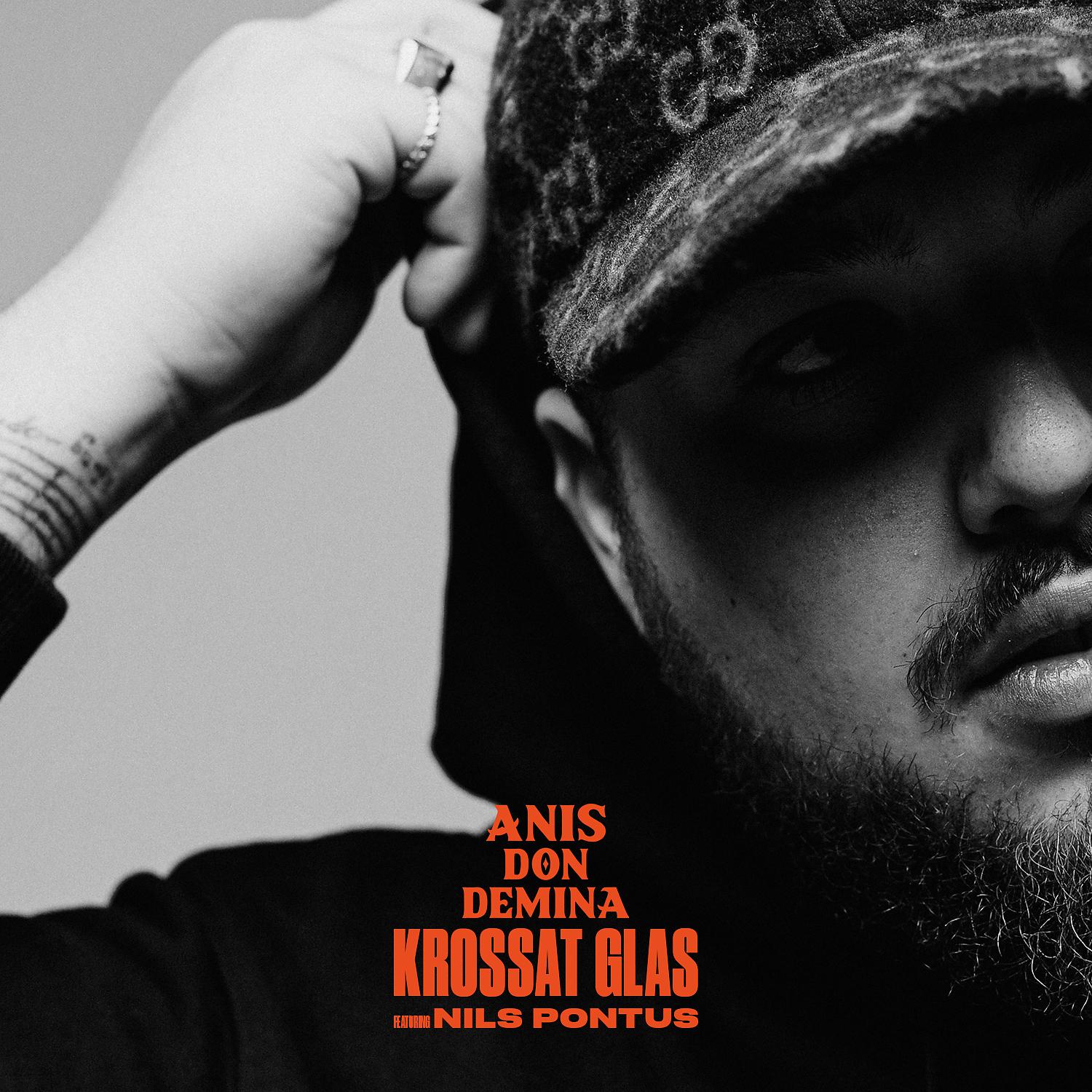 Постер альбома Krossat glas (feat. Nils Pontus)