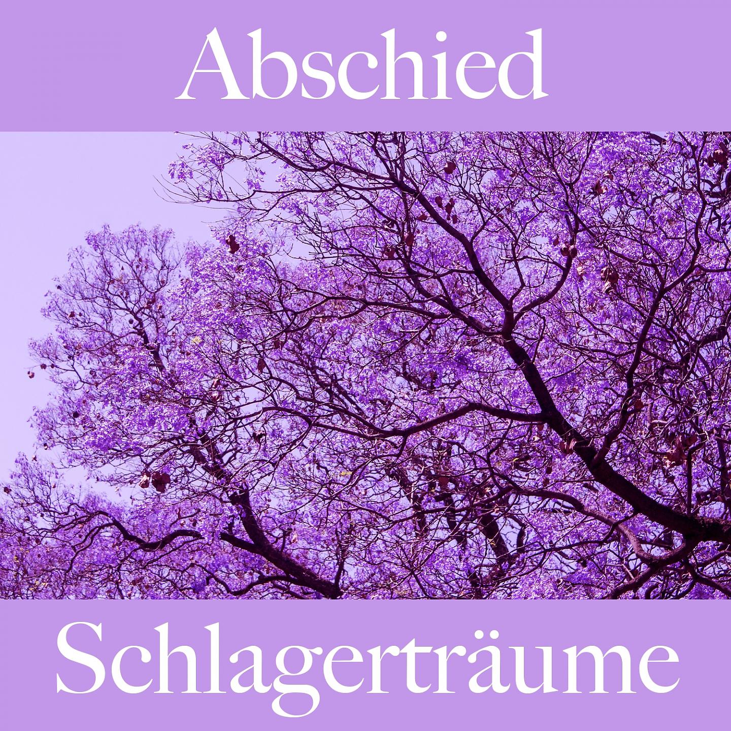 Постер альбома Abschied: Schlagerträume - Die Beste Musik Um Sich Besser Zu Fühlen